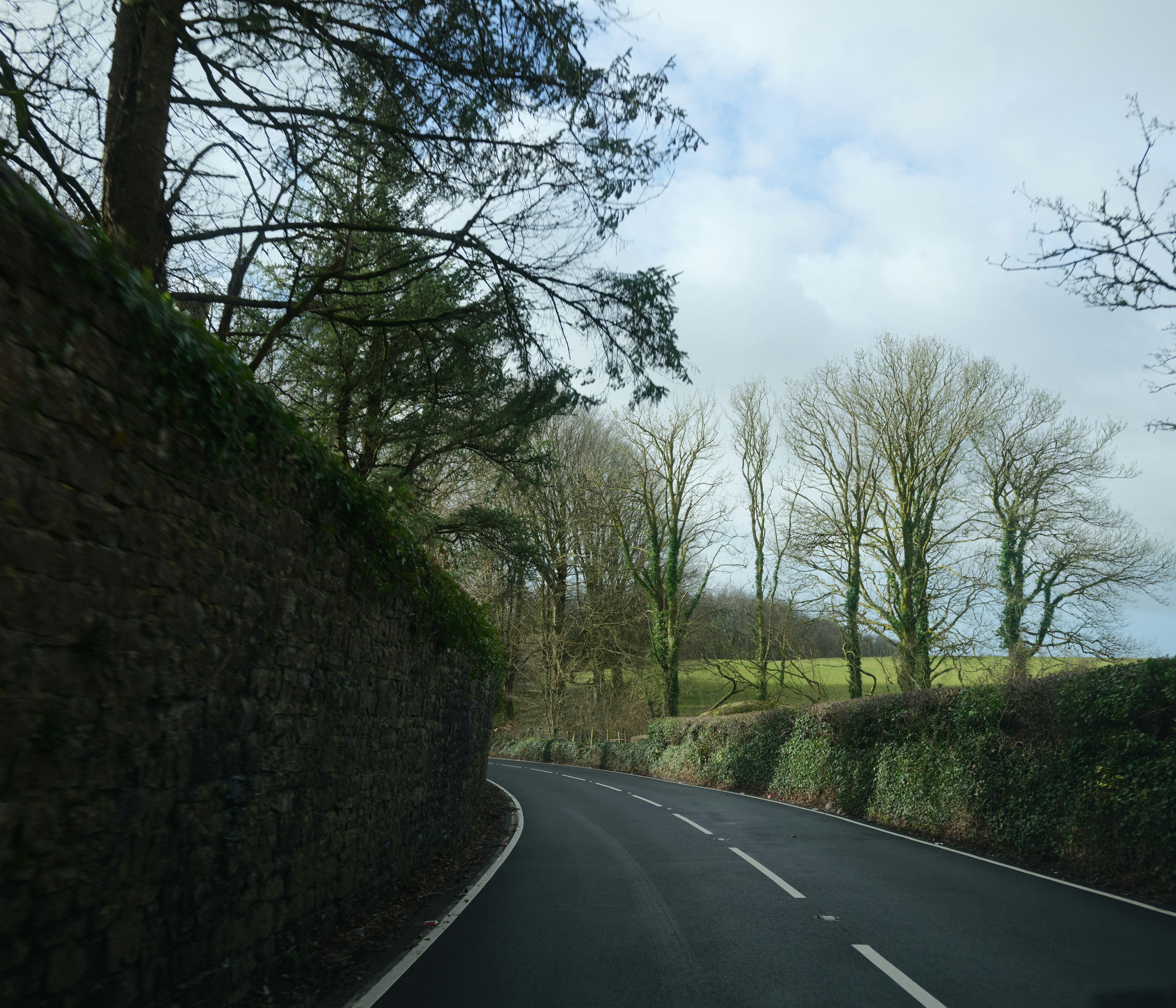 Photo by tanyabarrow