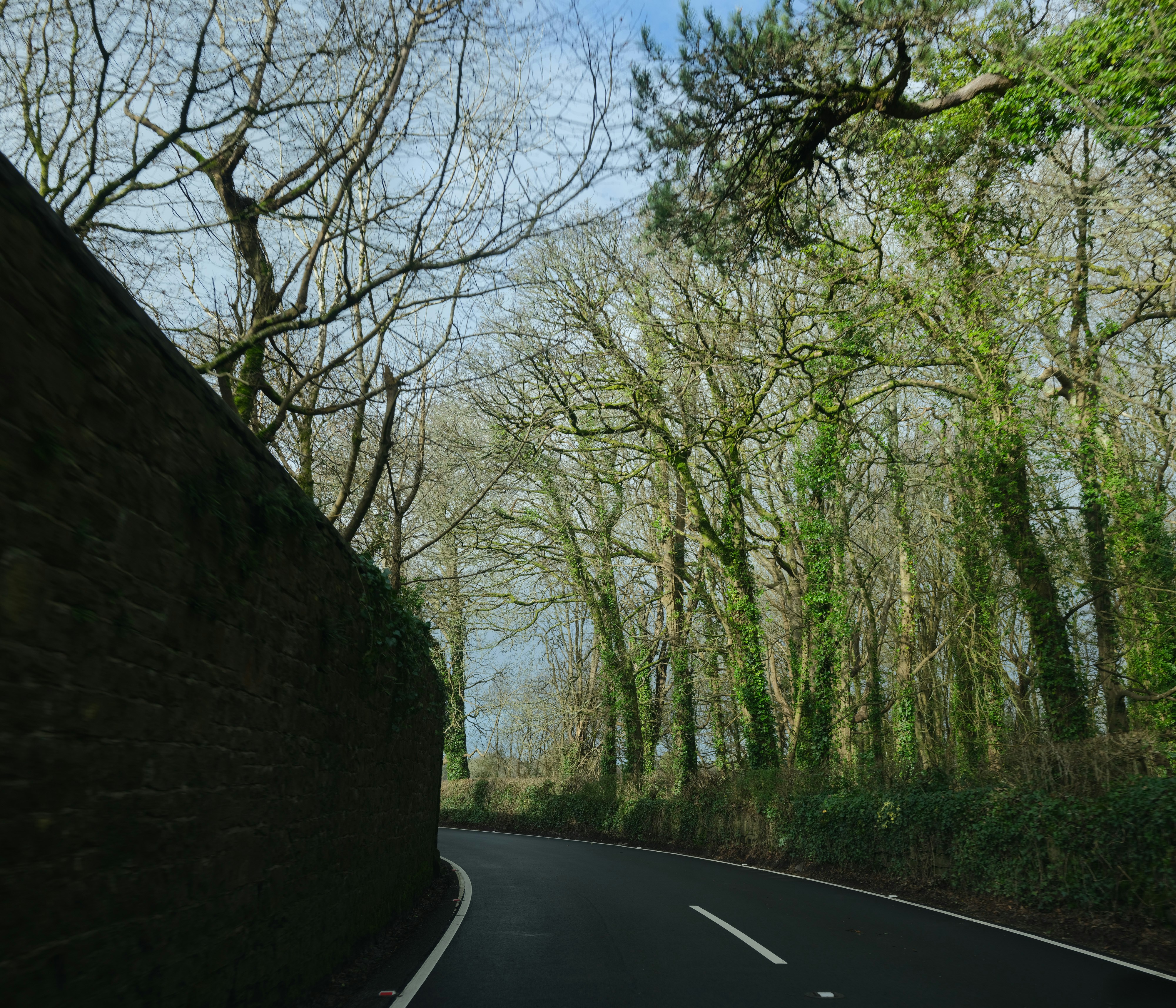 Photo by tanyabarrow