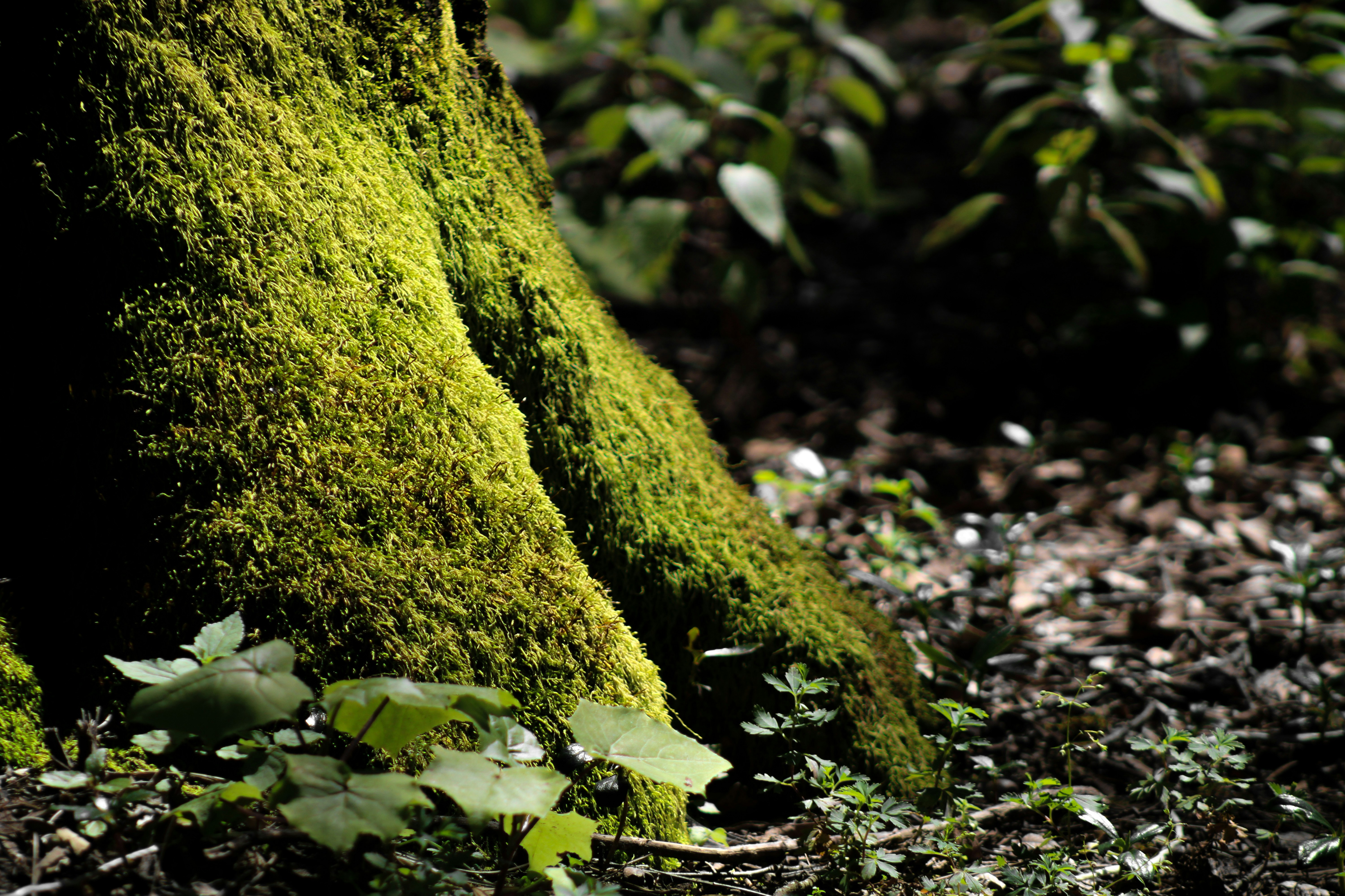 Photo by perla_olvera