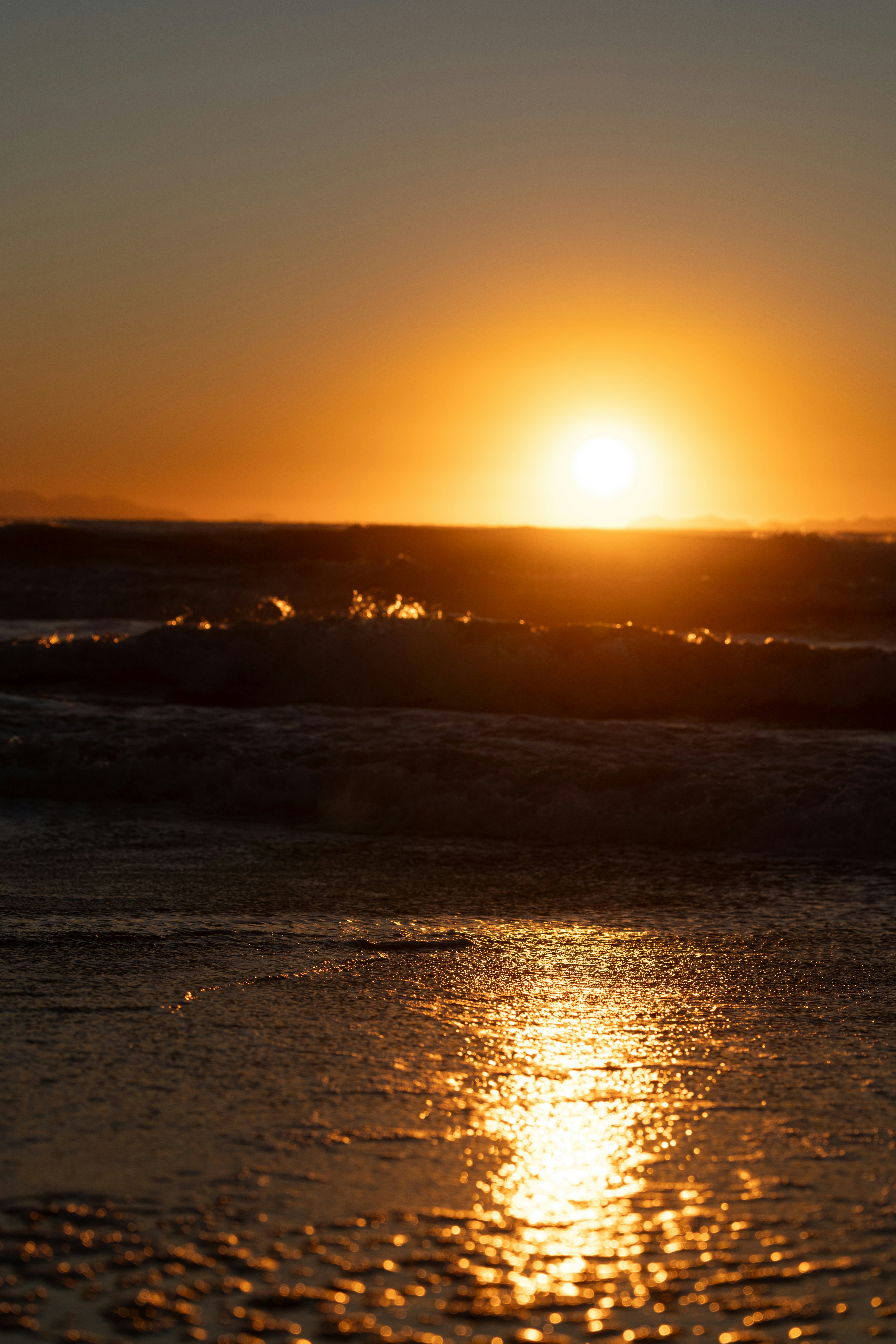 Photo by janis_photography