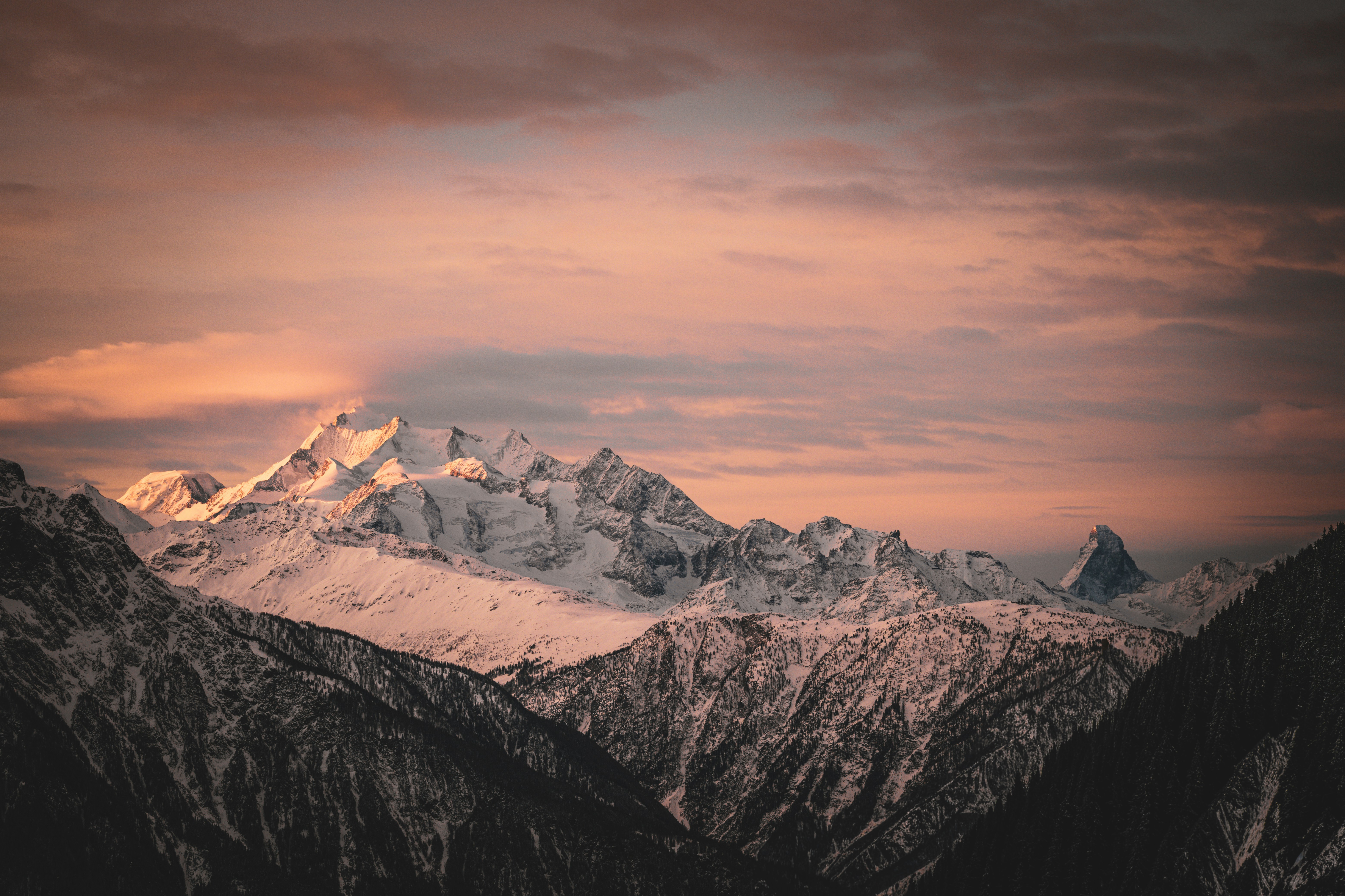 Photo by janis_photography