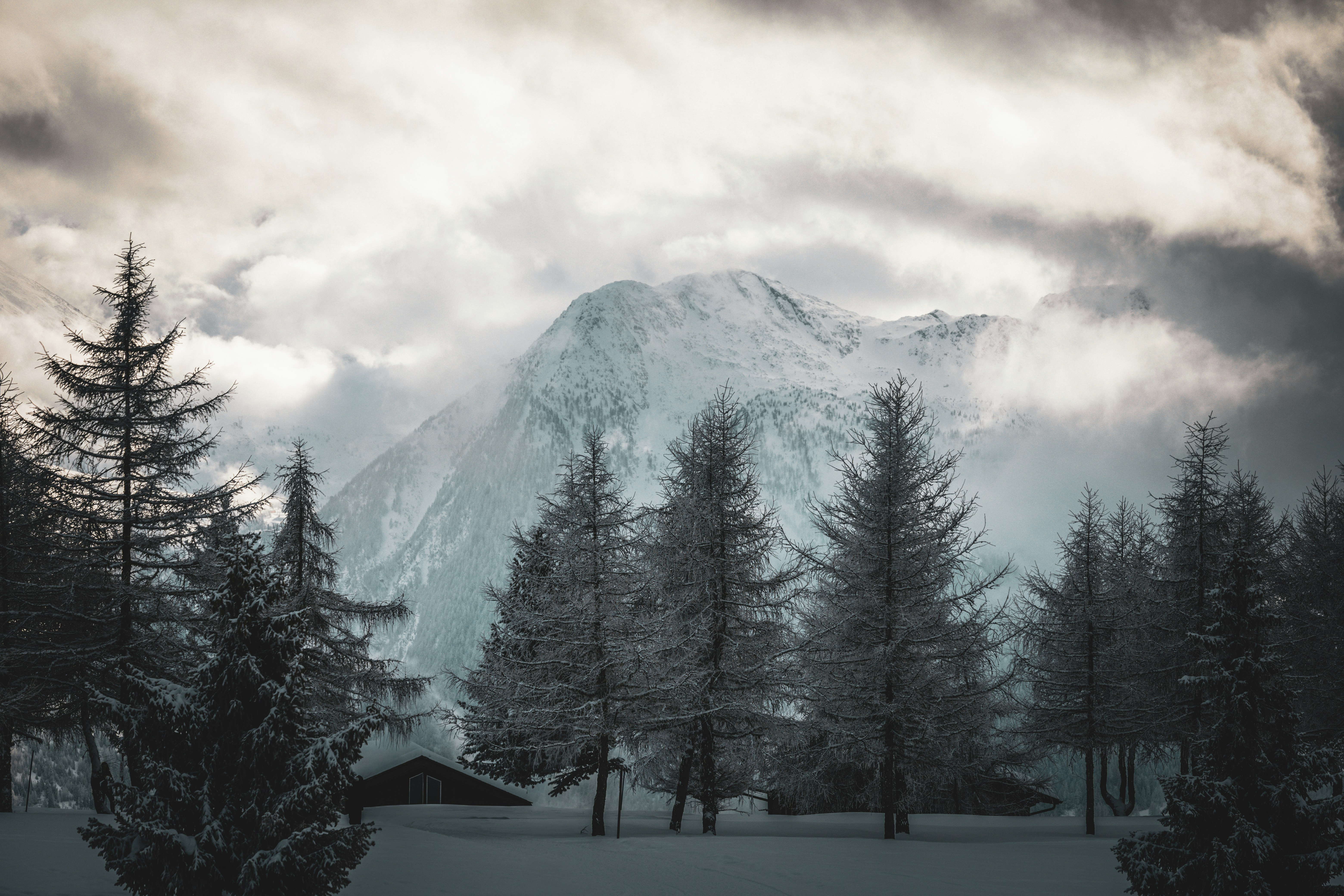 Photo by janis_photography