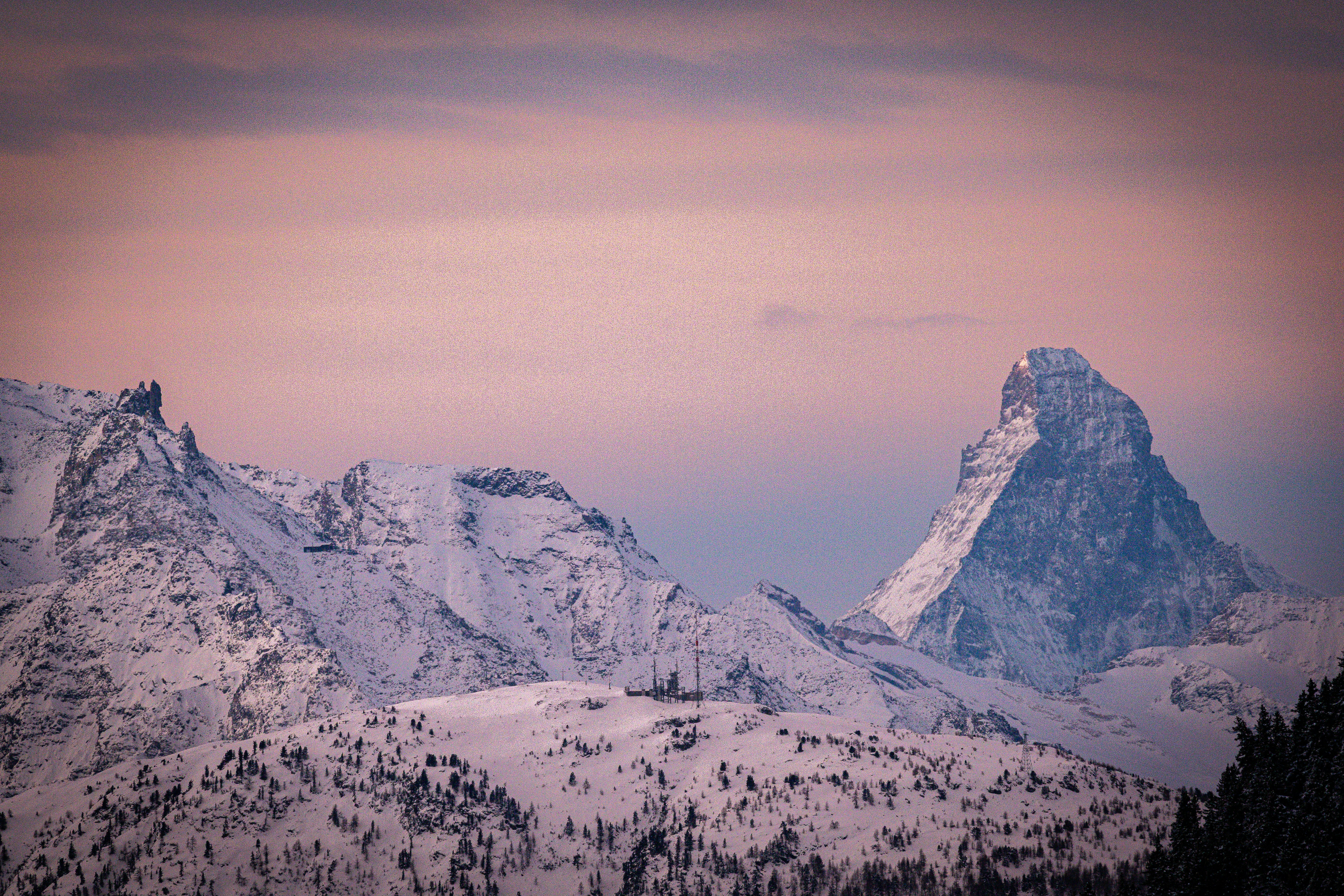 Photo by janis_photography