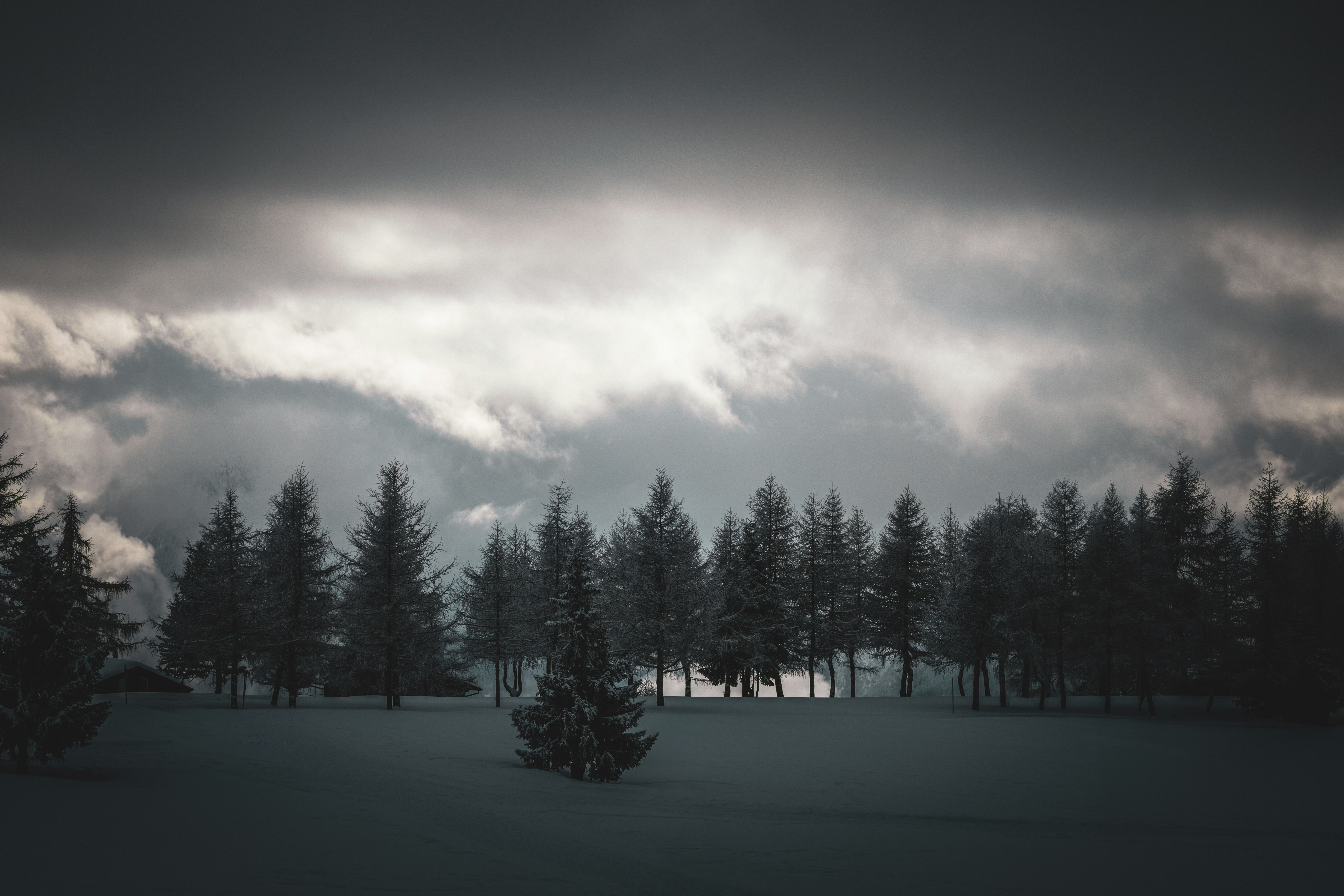 Photo by janis_photography