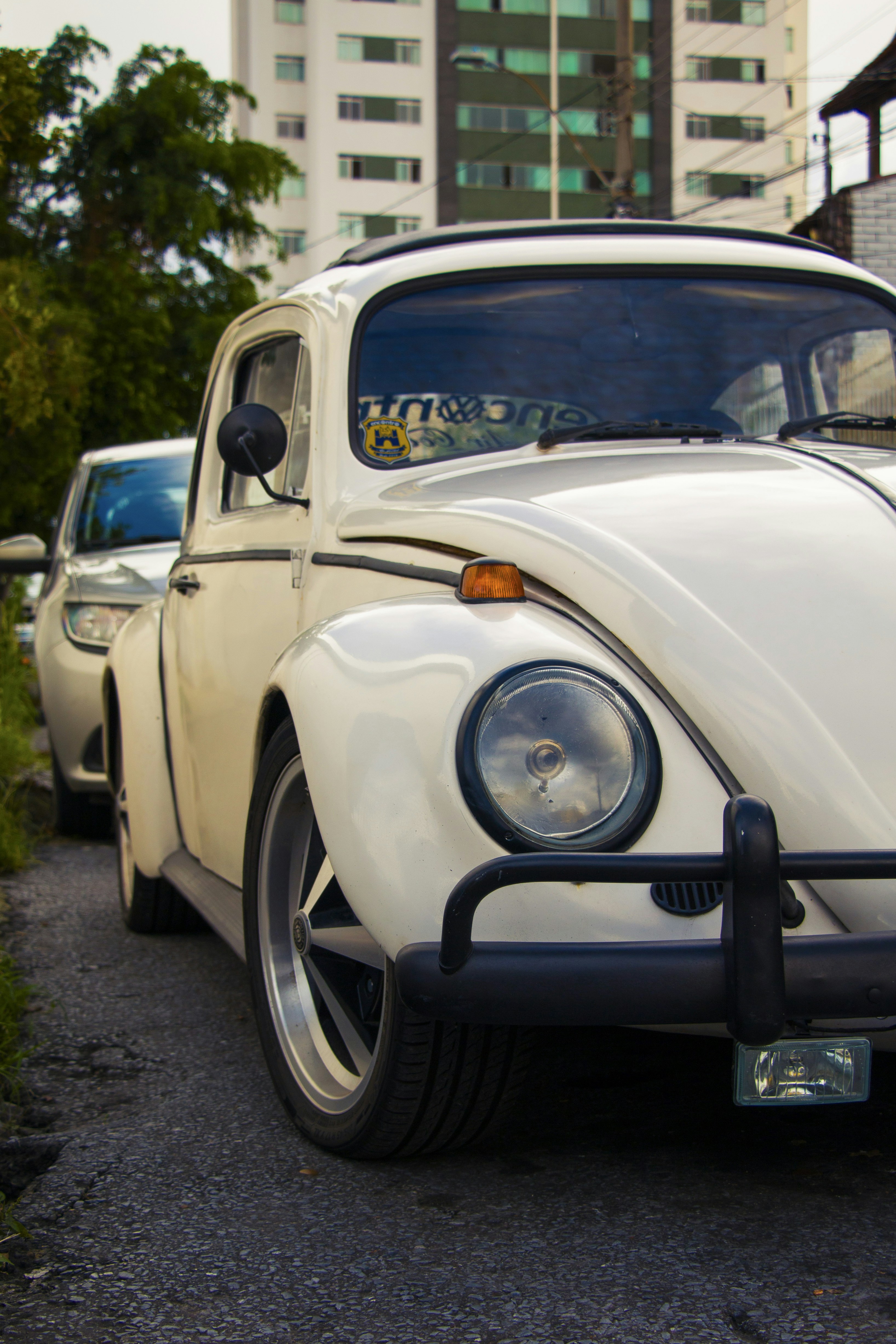 Photo by eversonvansoski