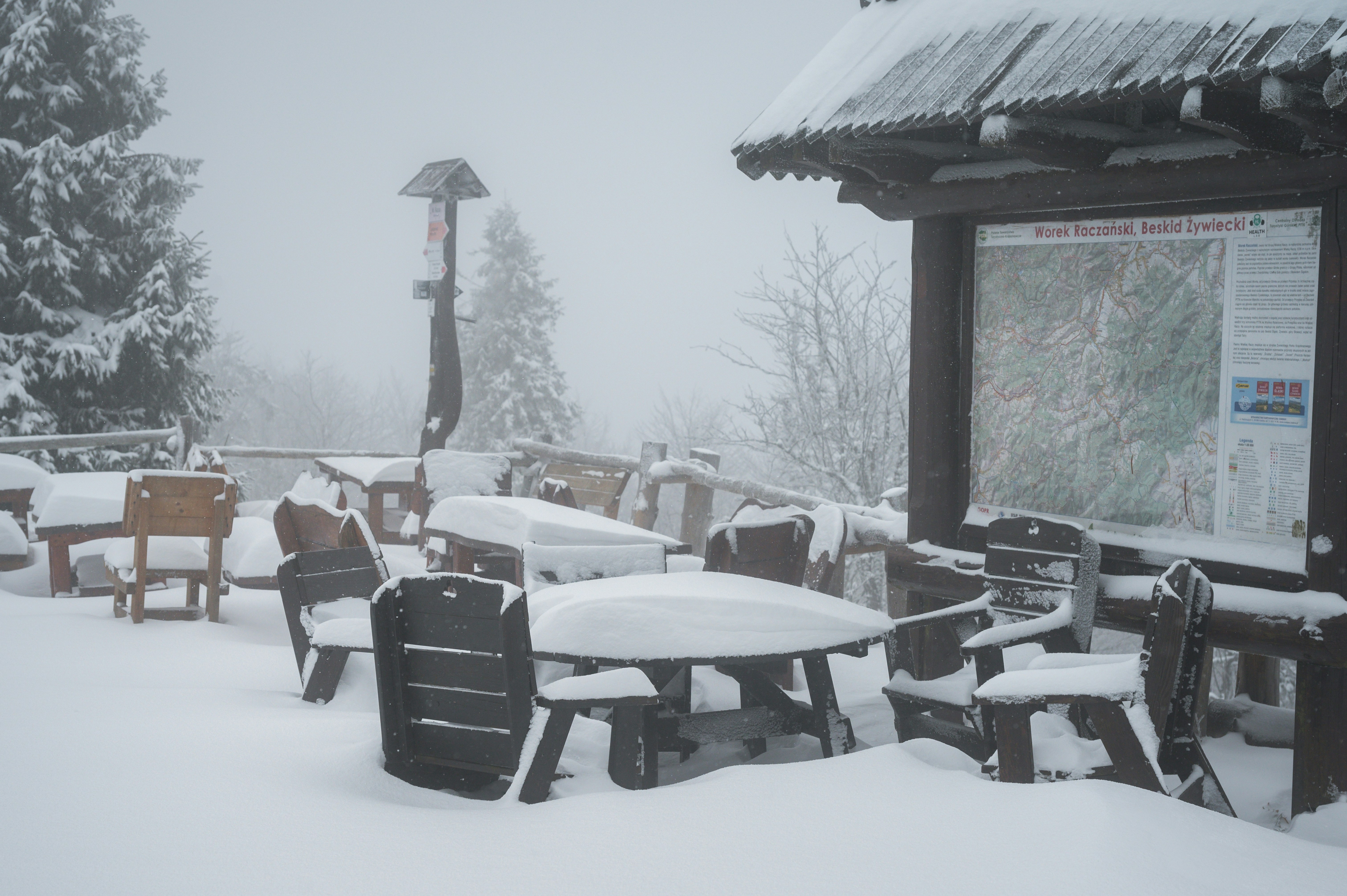 Photo by alexandra_p_d