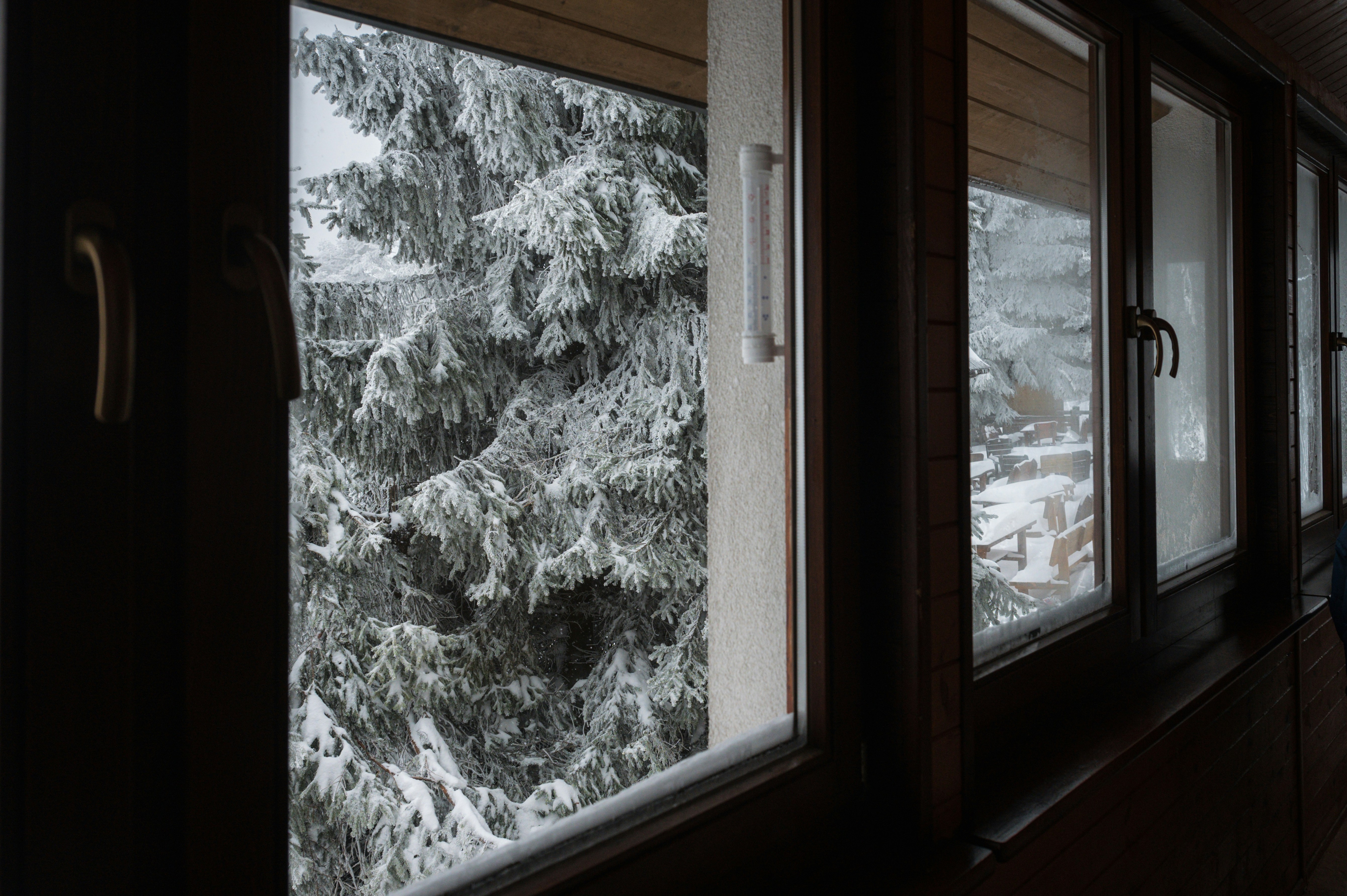 Photo by alexandra_p_d