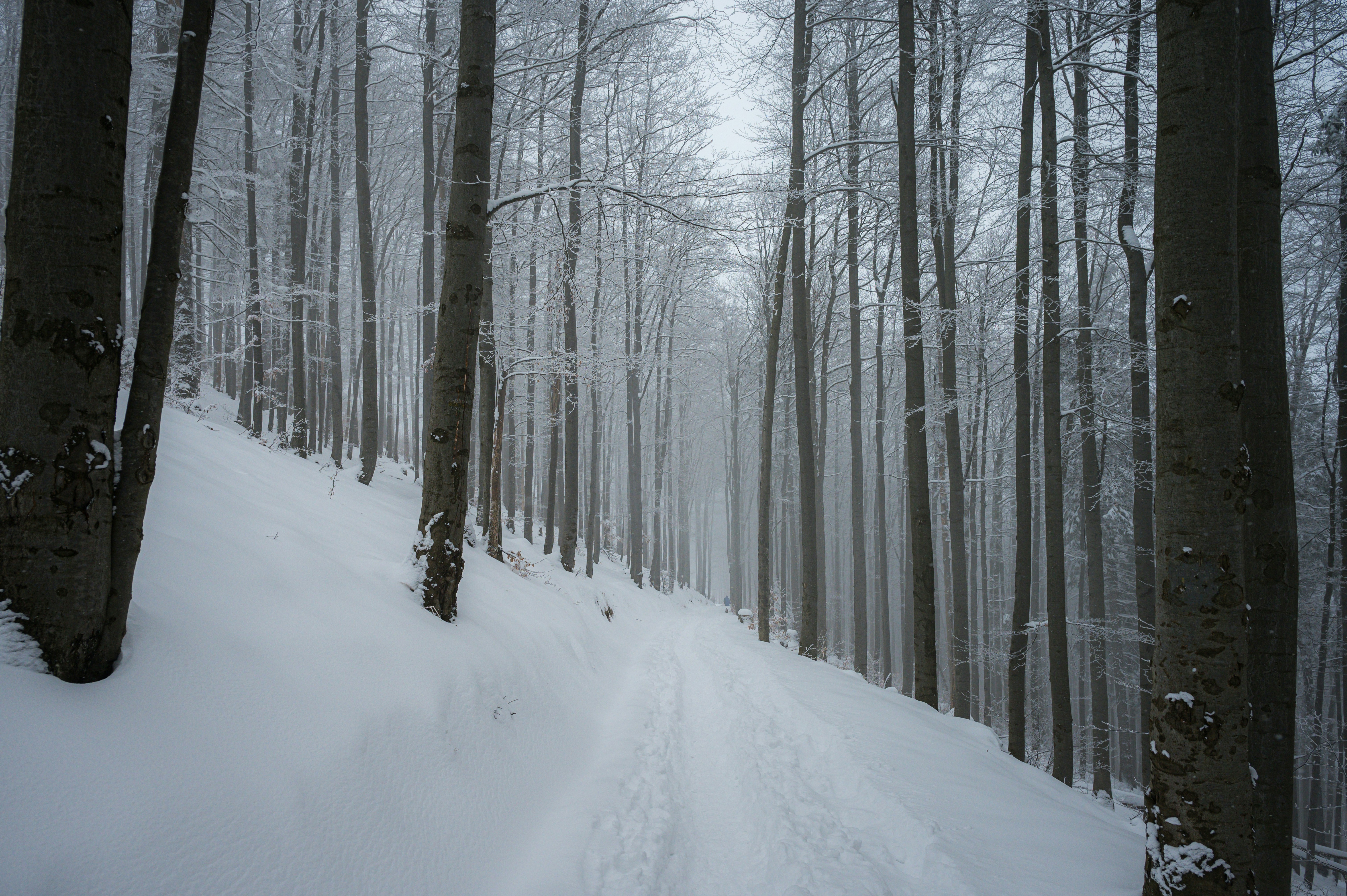 Photo by alexandra_p_d