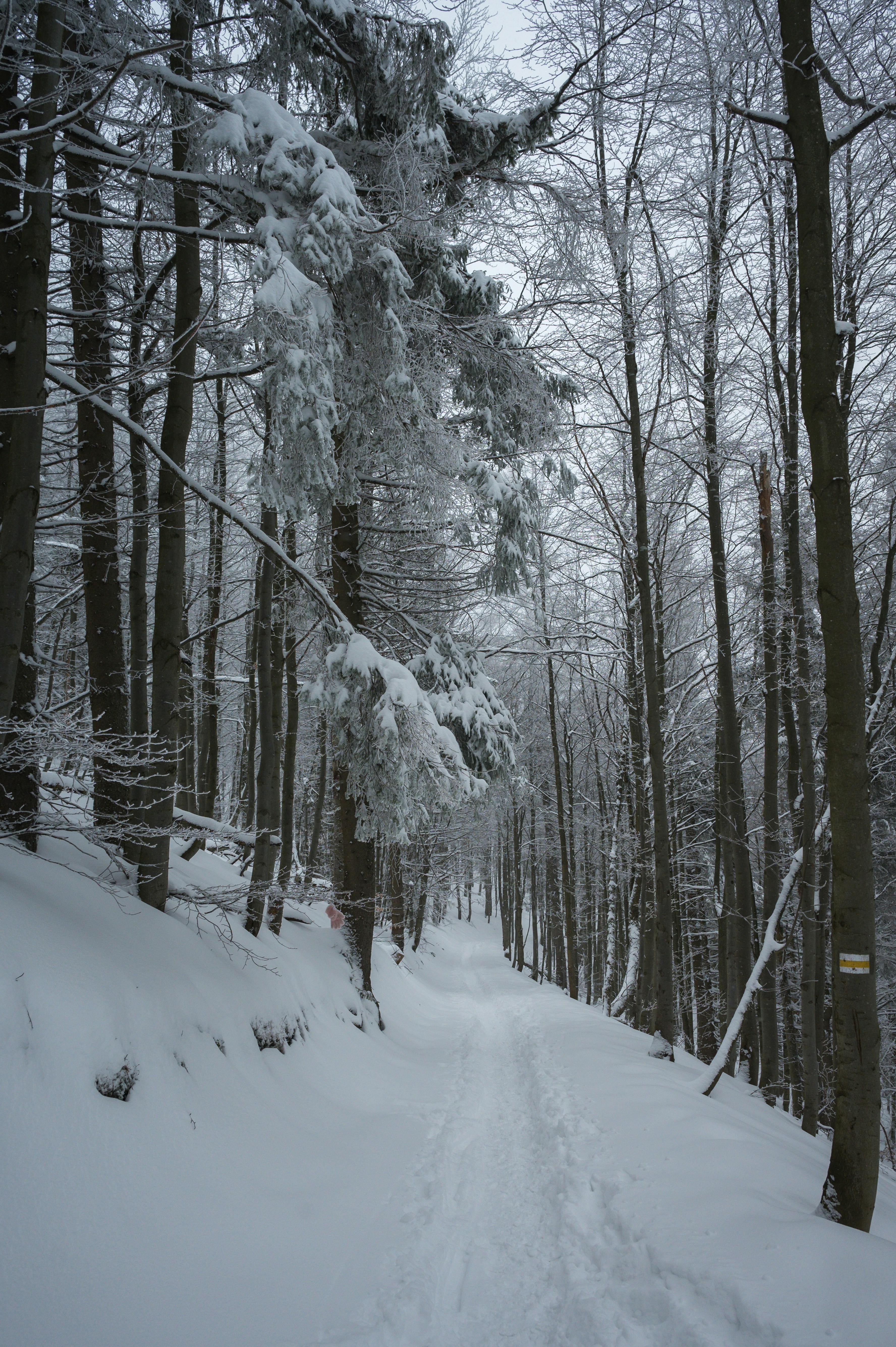 Photo by alexandra_p_d