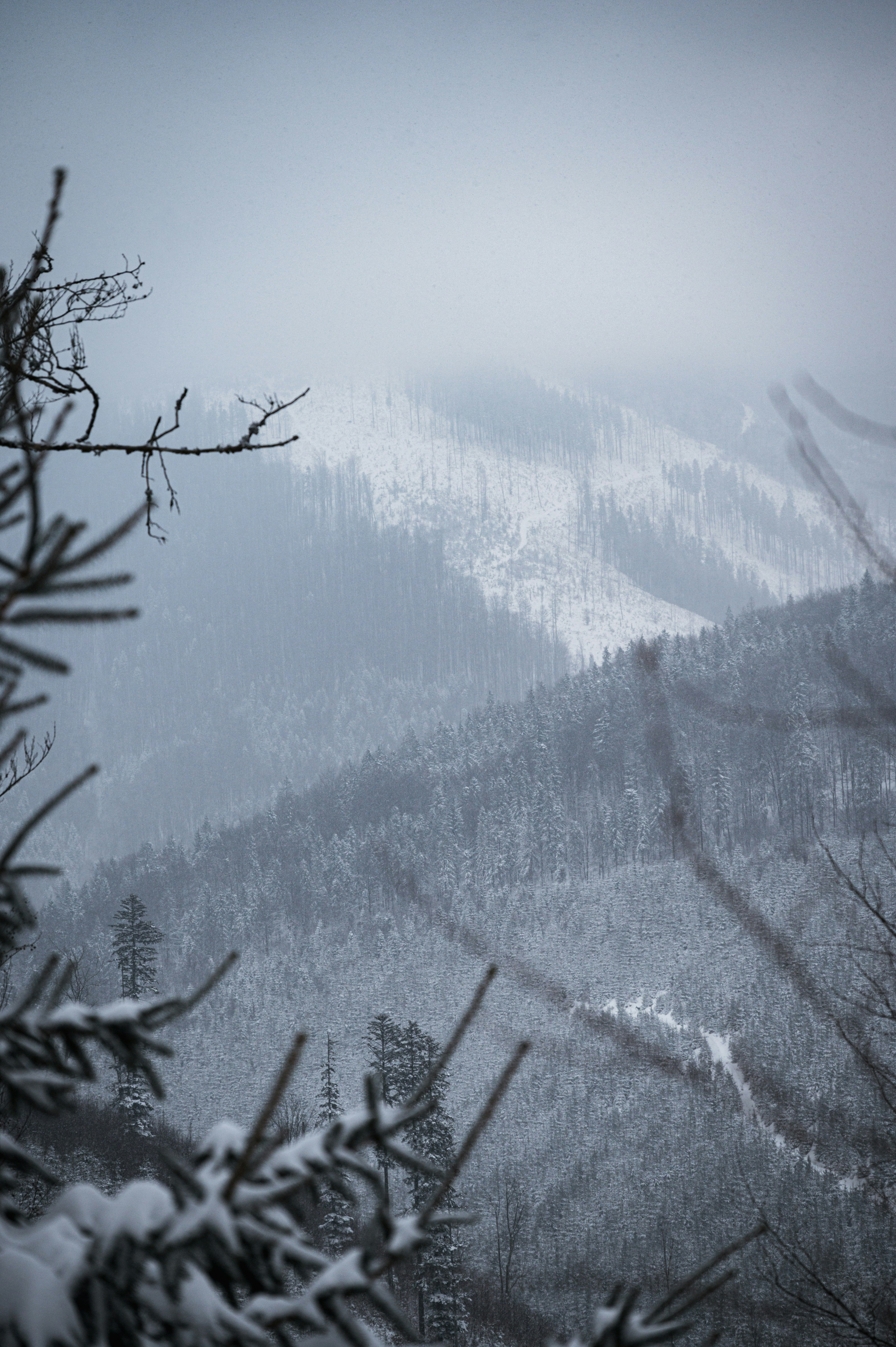 Photo by alexandra_p_d