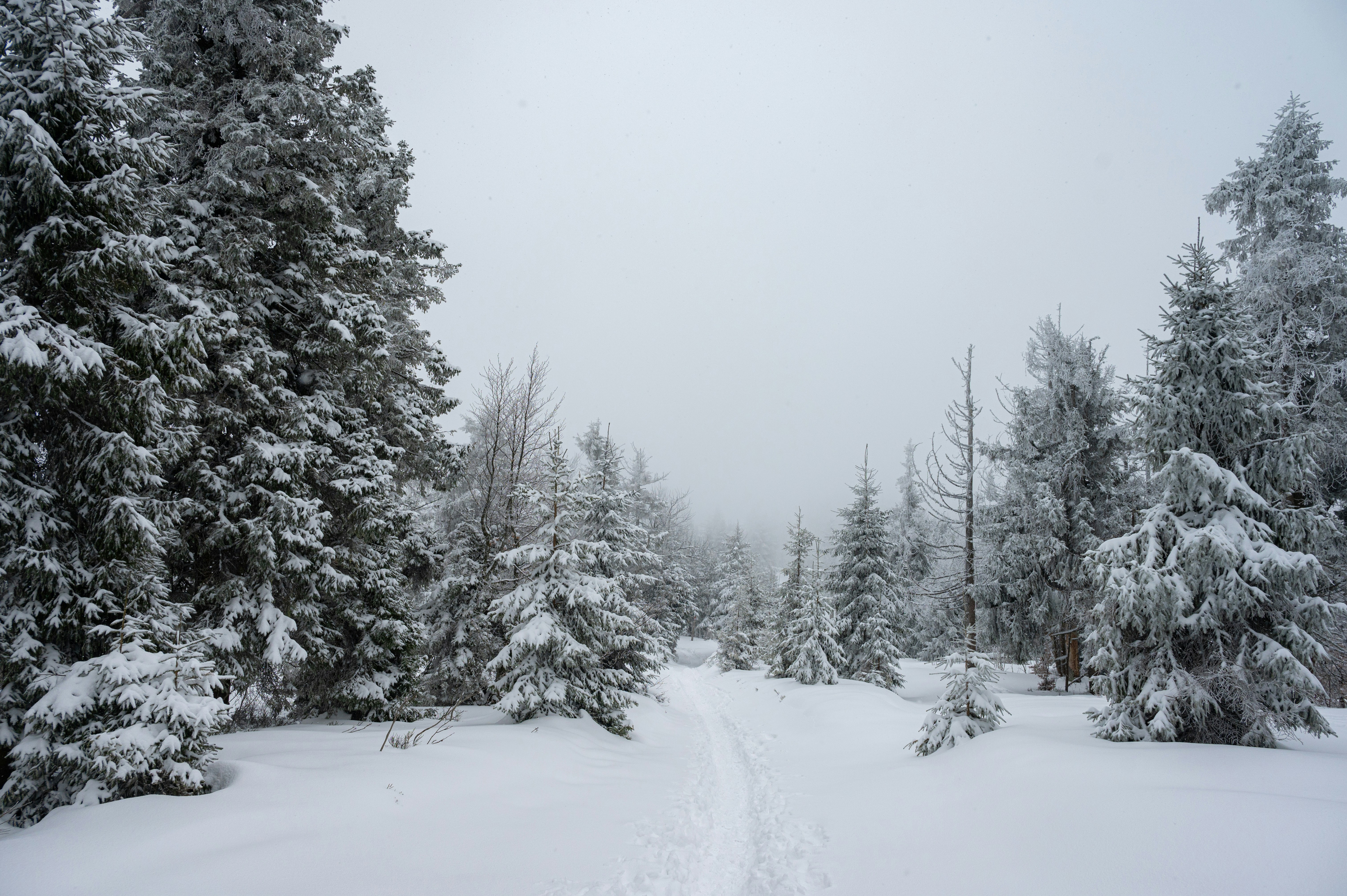 Photo by alexandra_p_d