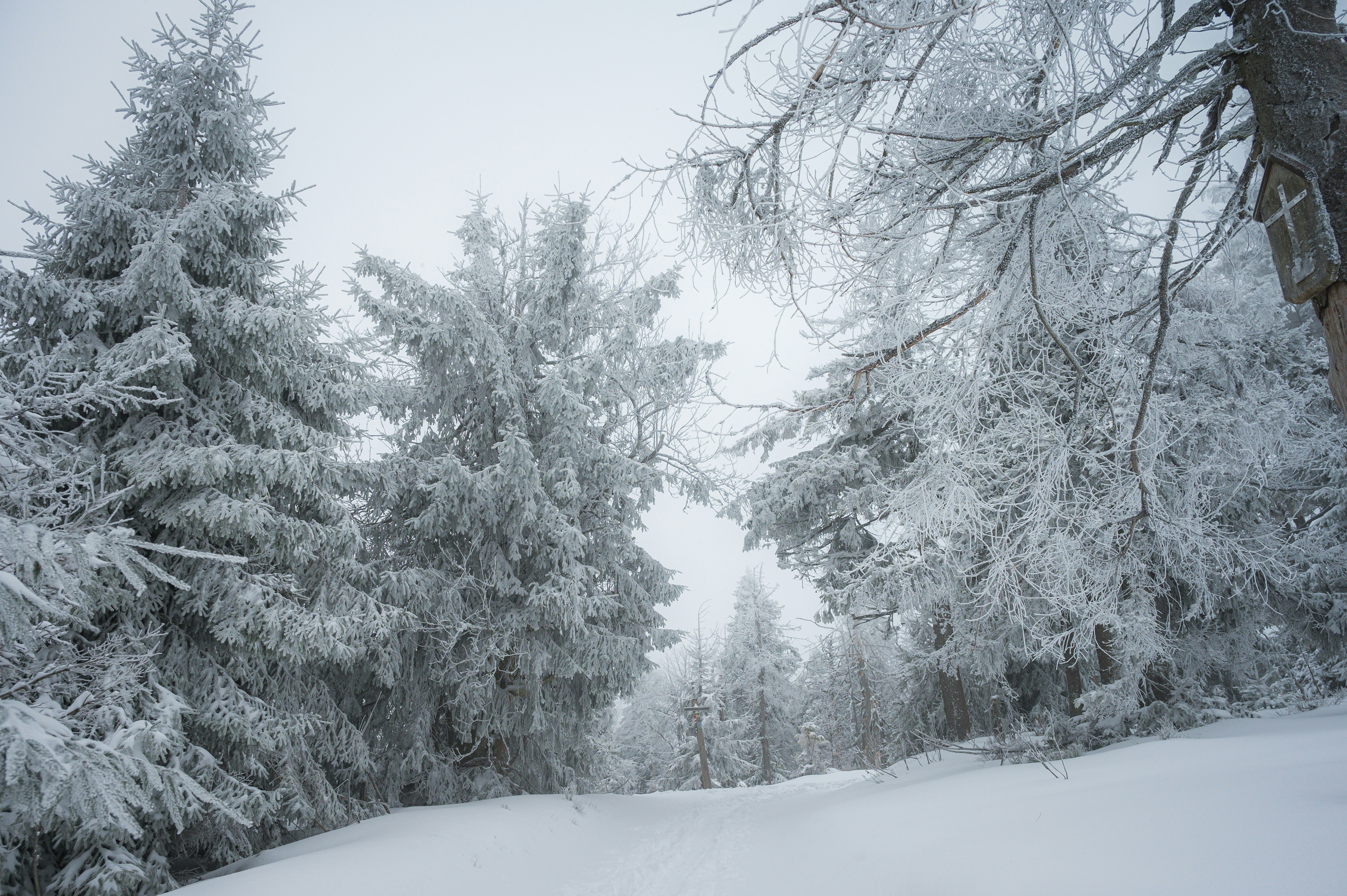 Photo by alexandra_p_d