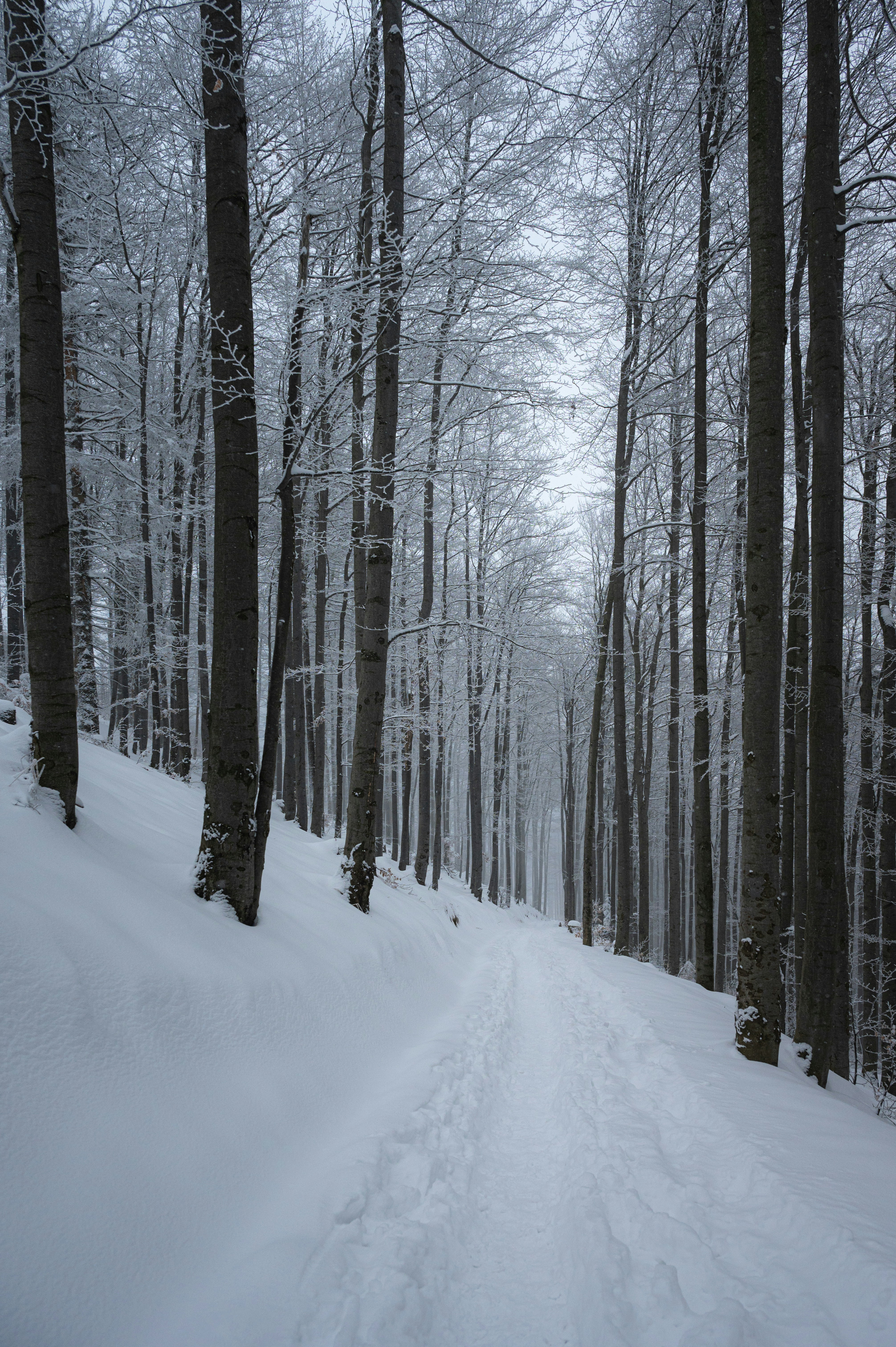 Photo by alexandra_p_d