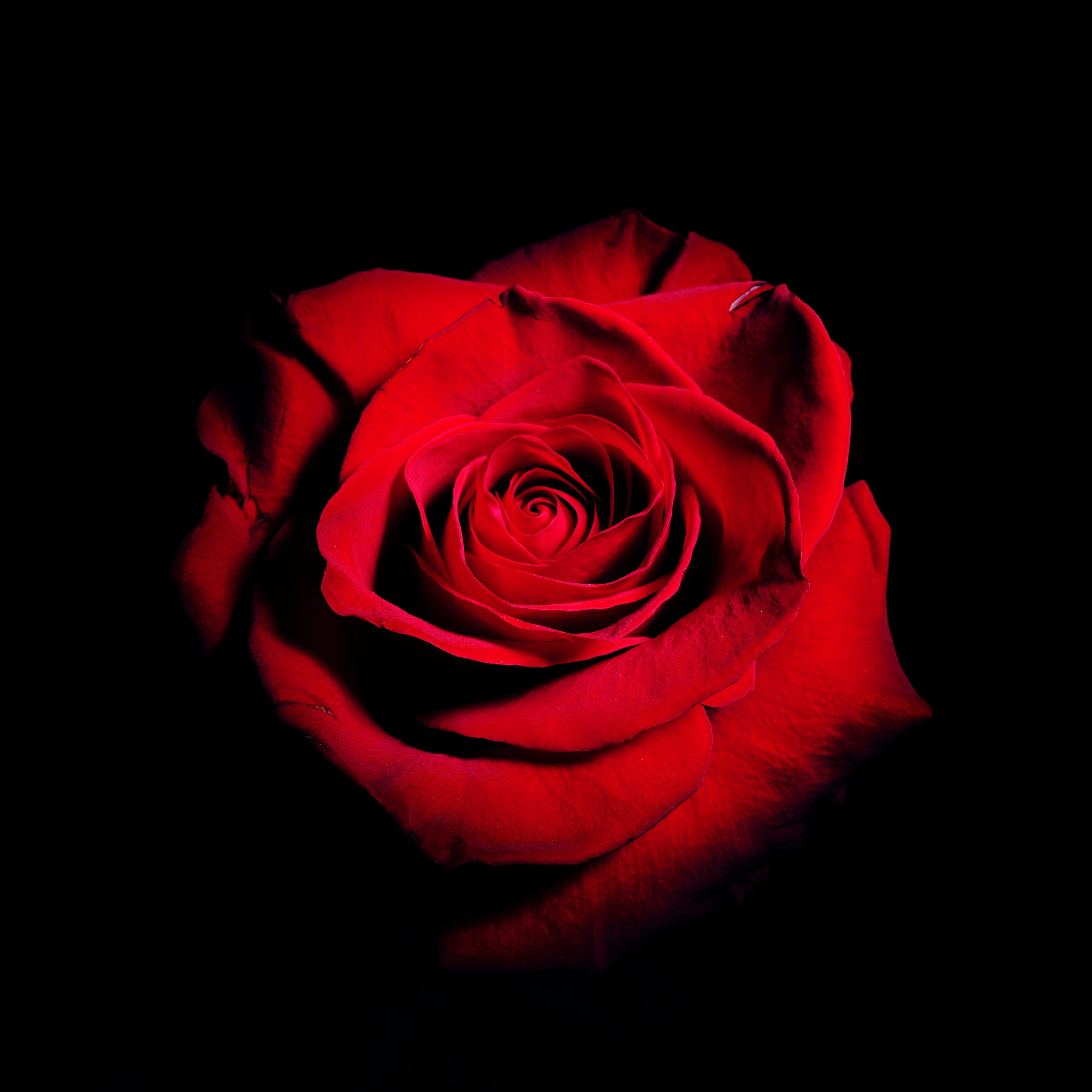 Photo by thephotochad