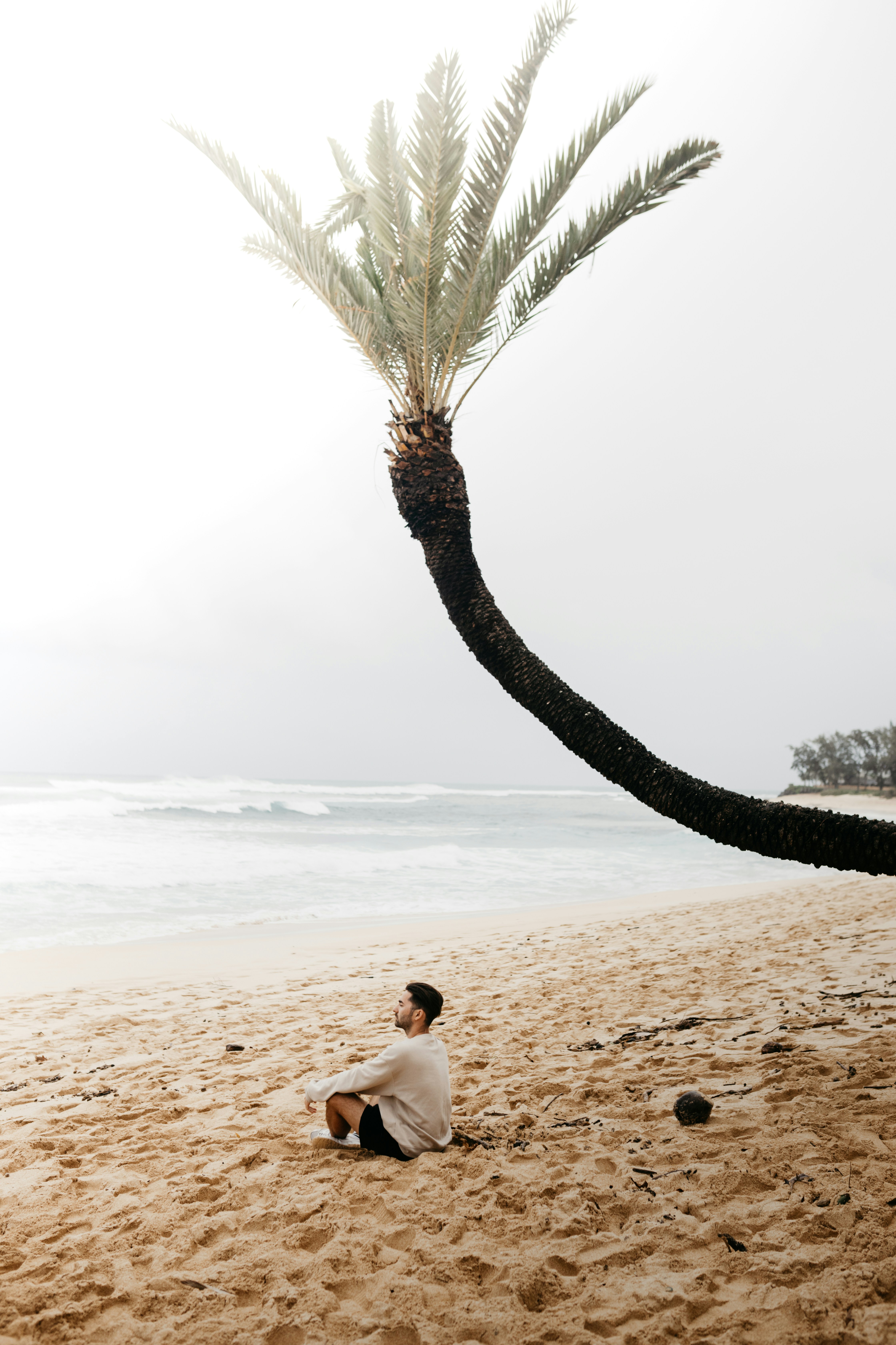 Homme assis sur la plage sous un palmier courbé