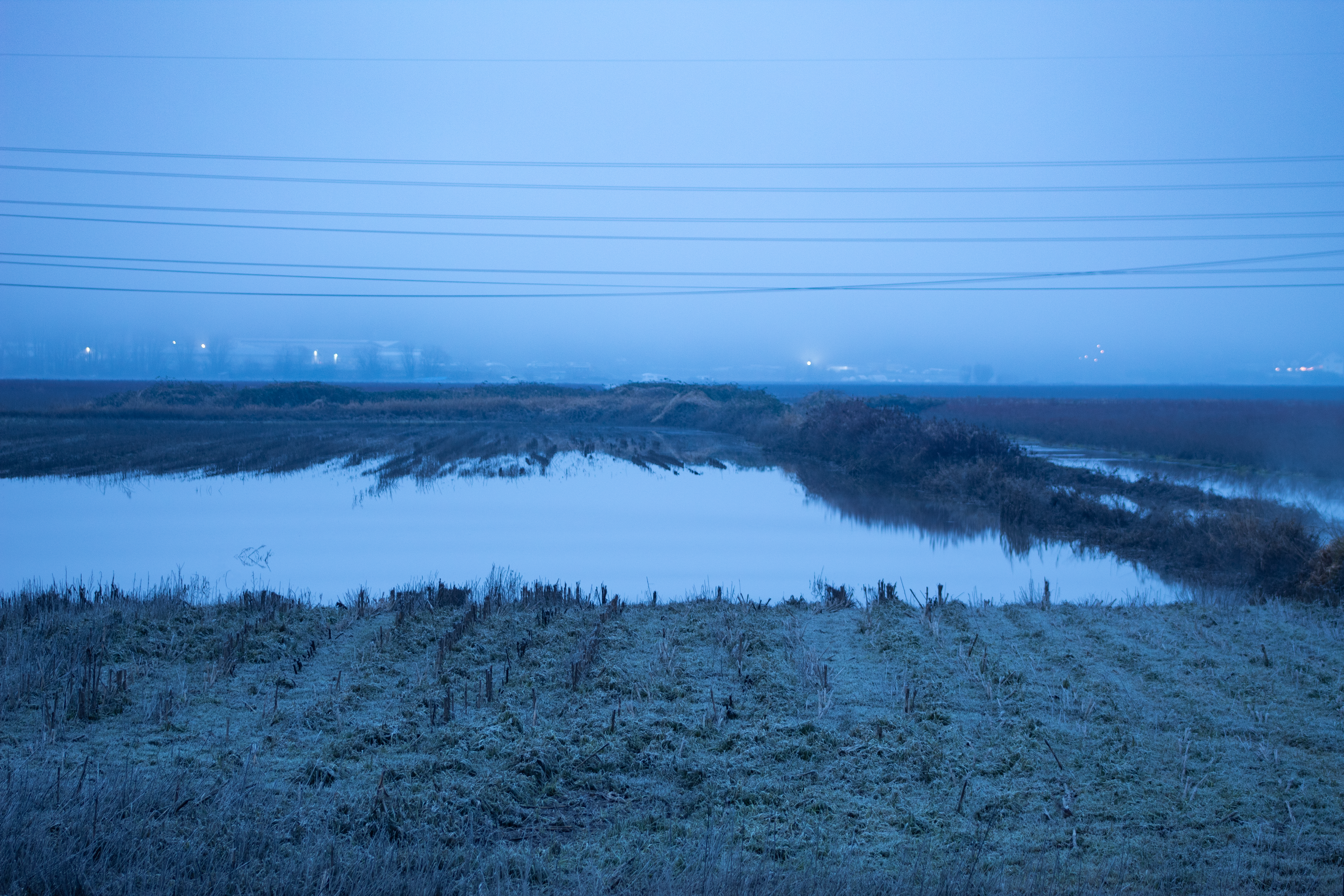 Champs inondés sous un ciel brumeux et couvert