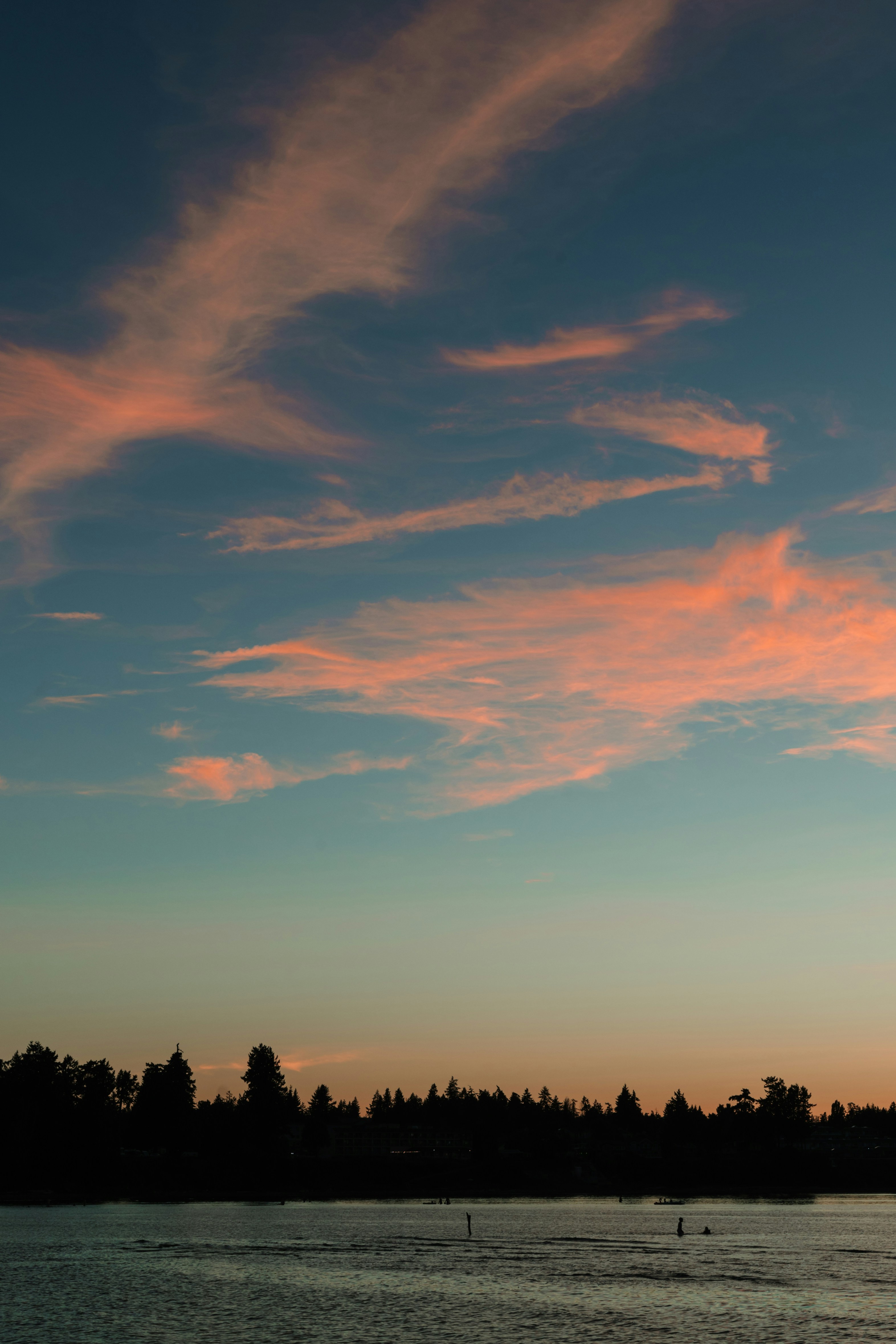 Photo by dariendesigns