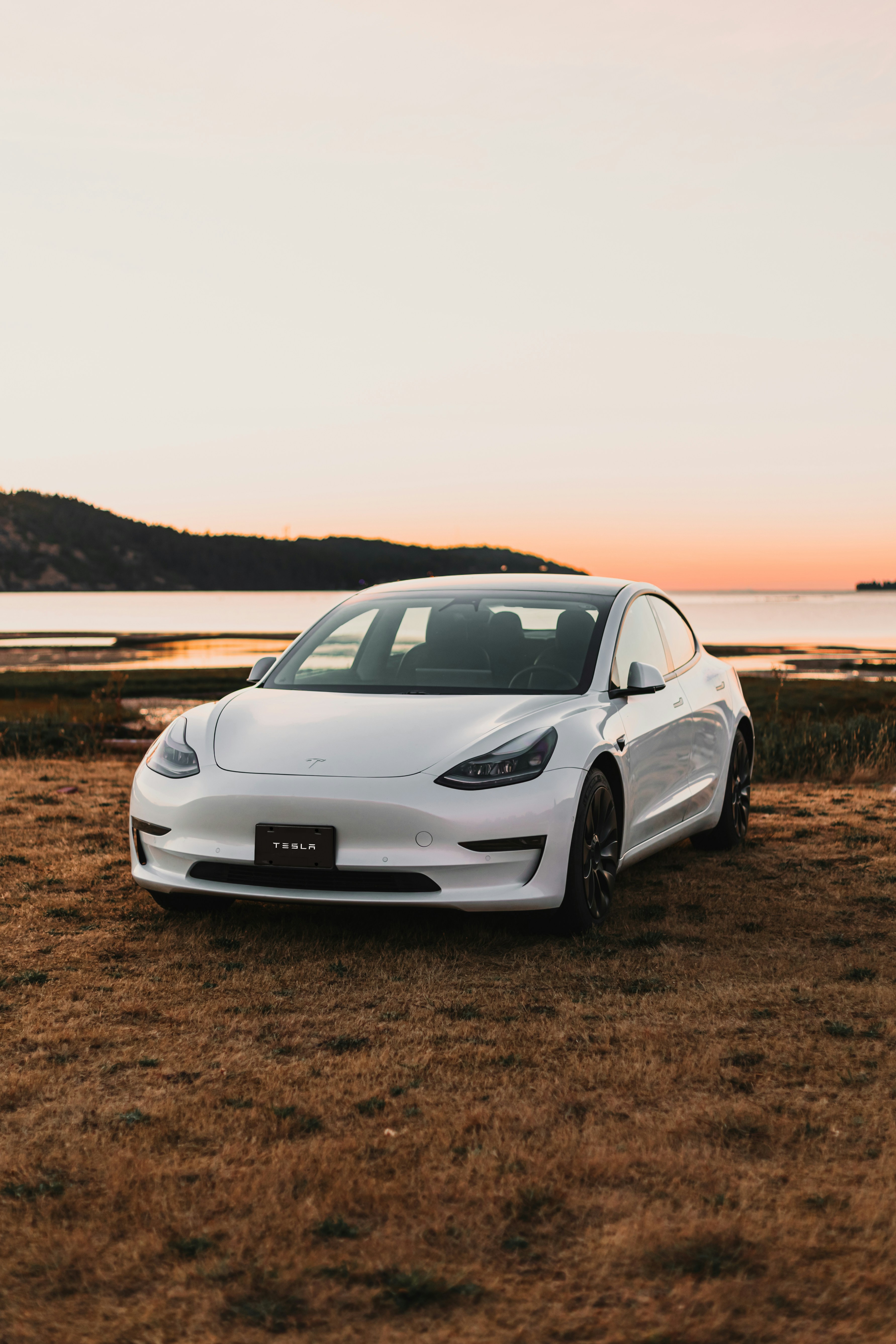 White tesla parked on grassy shore at sunset