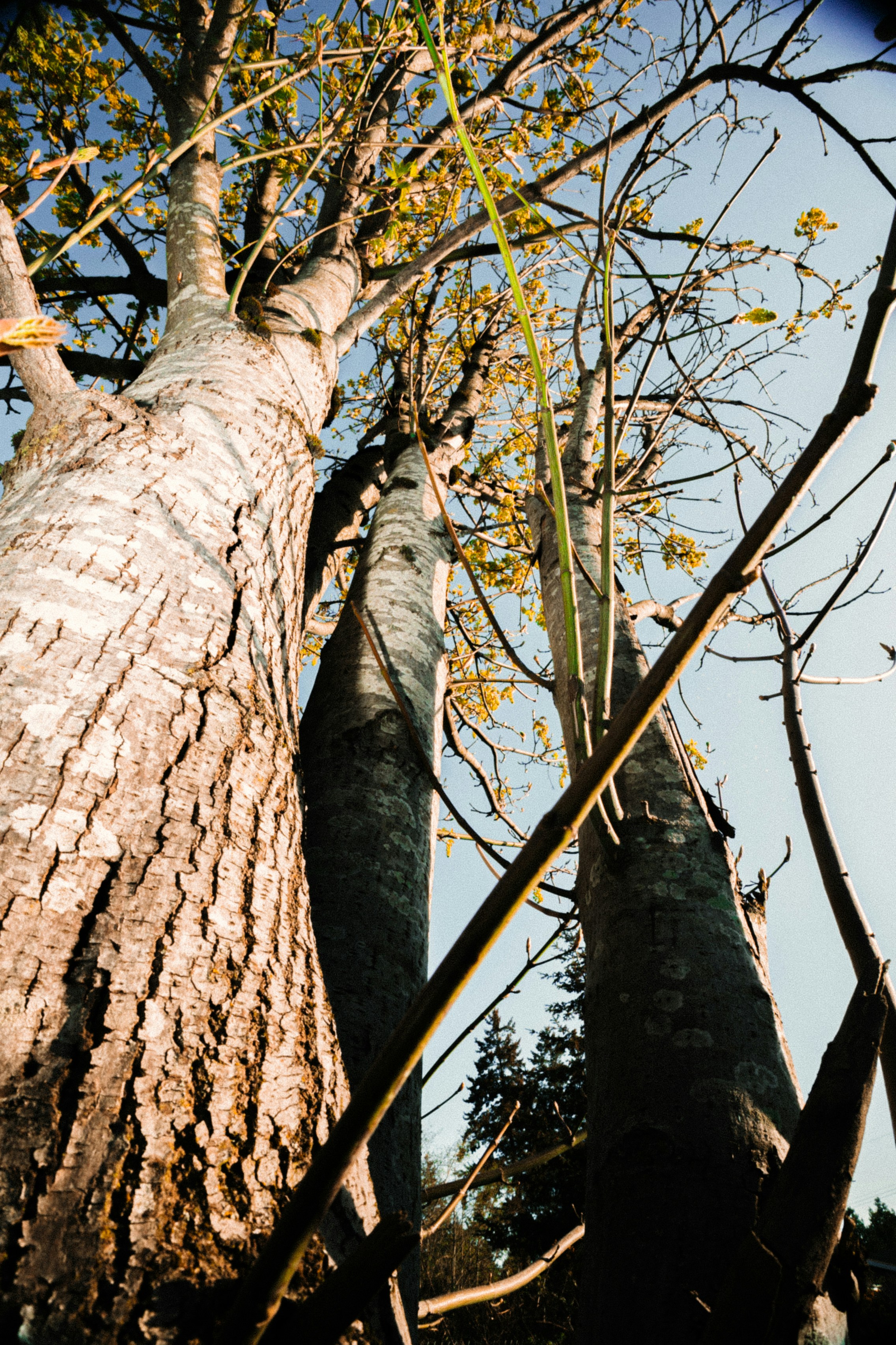 Photo by dariendesigns