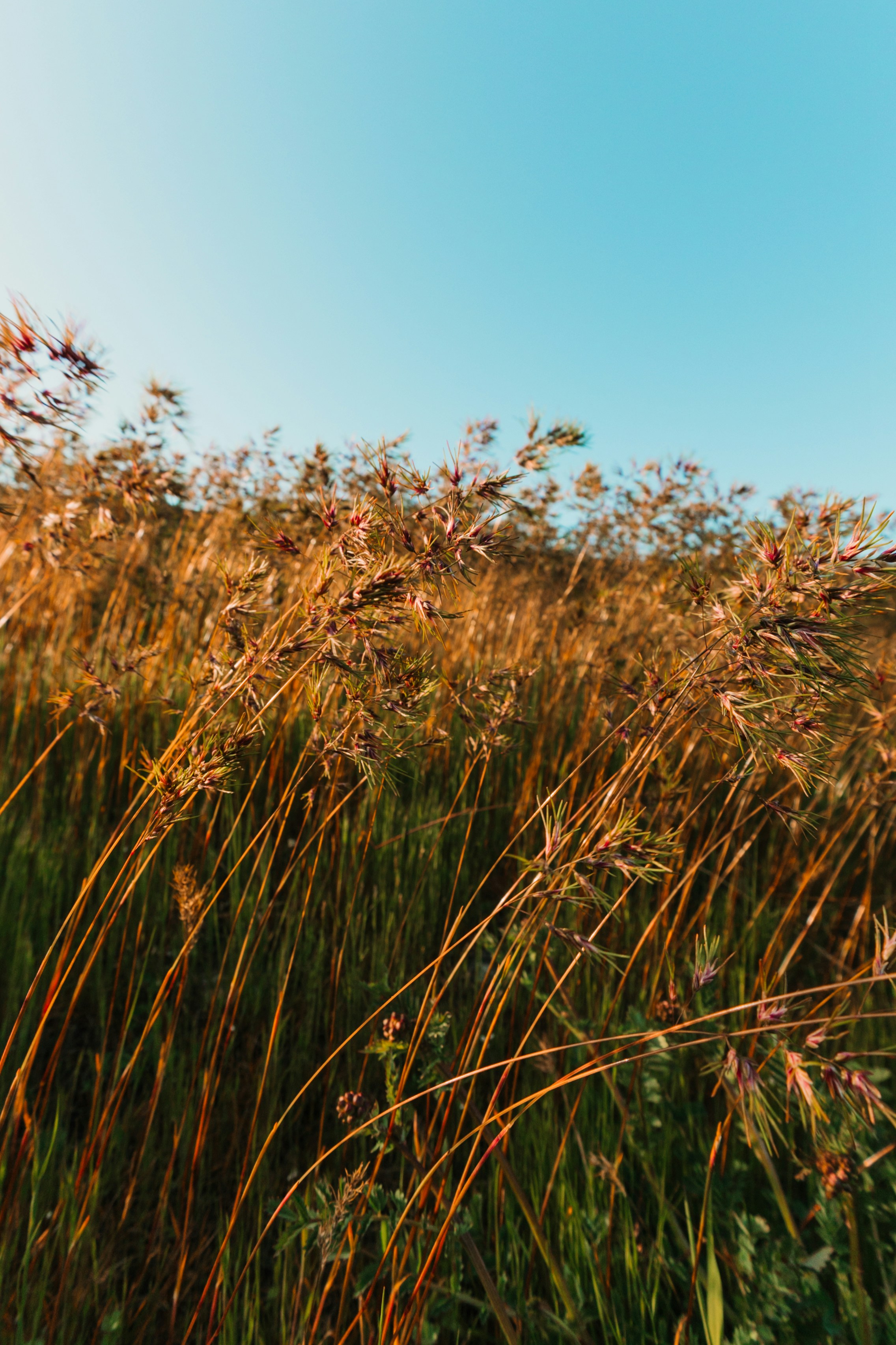 Photo by dariendesigns