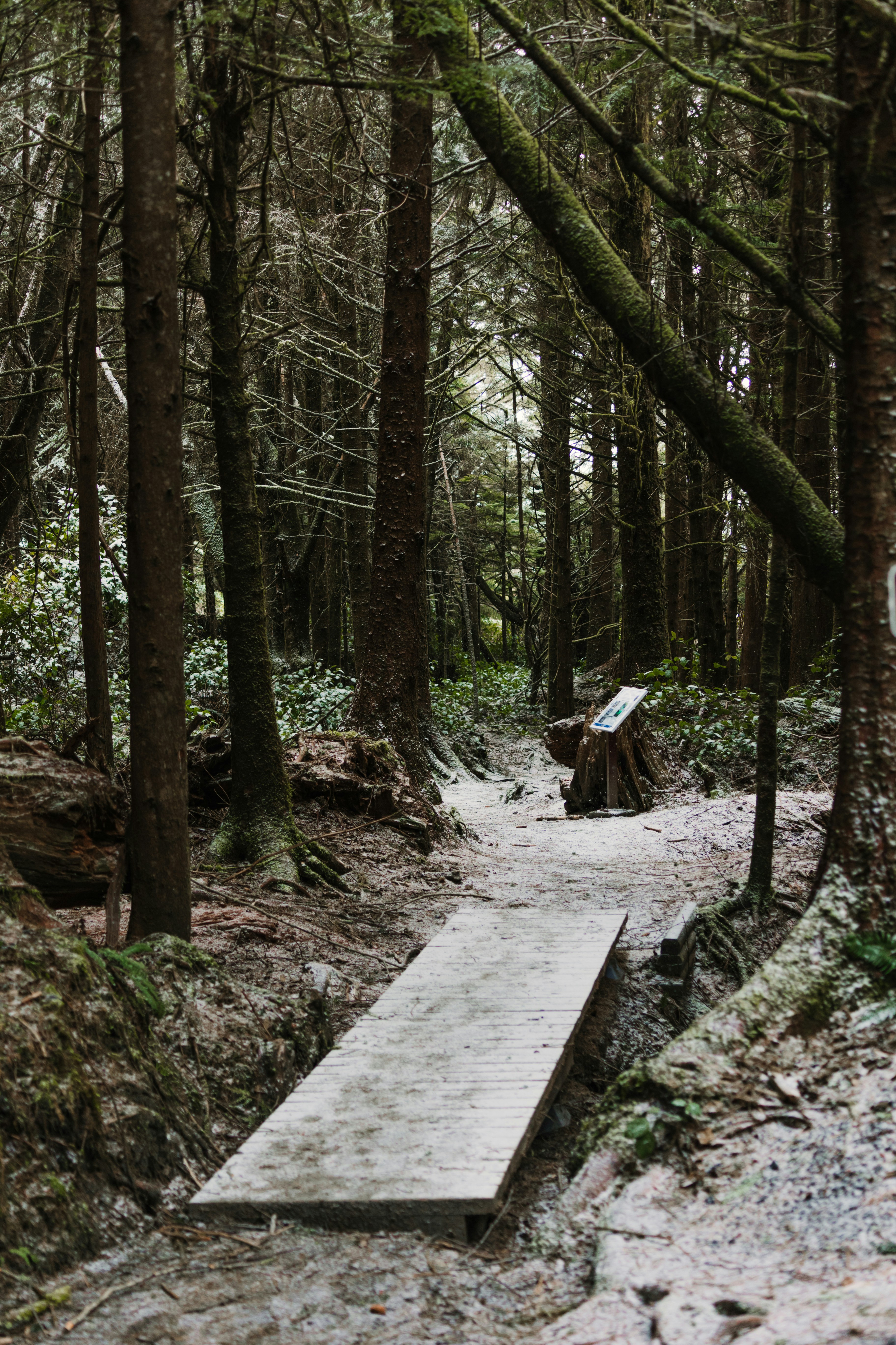 Photo by dariendesigns