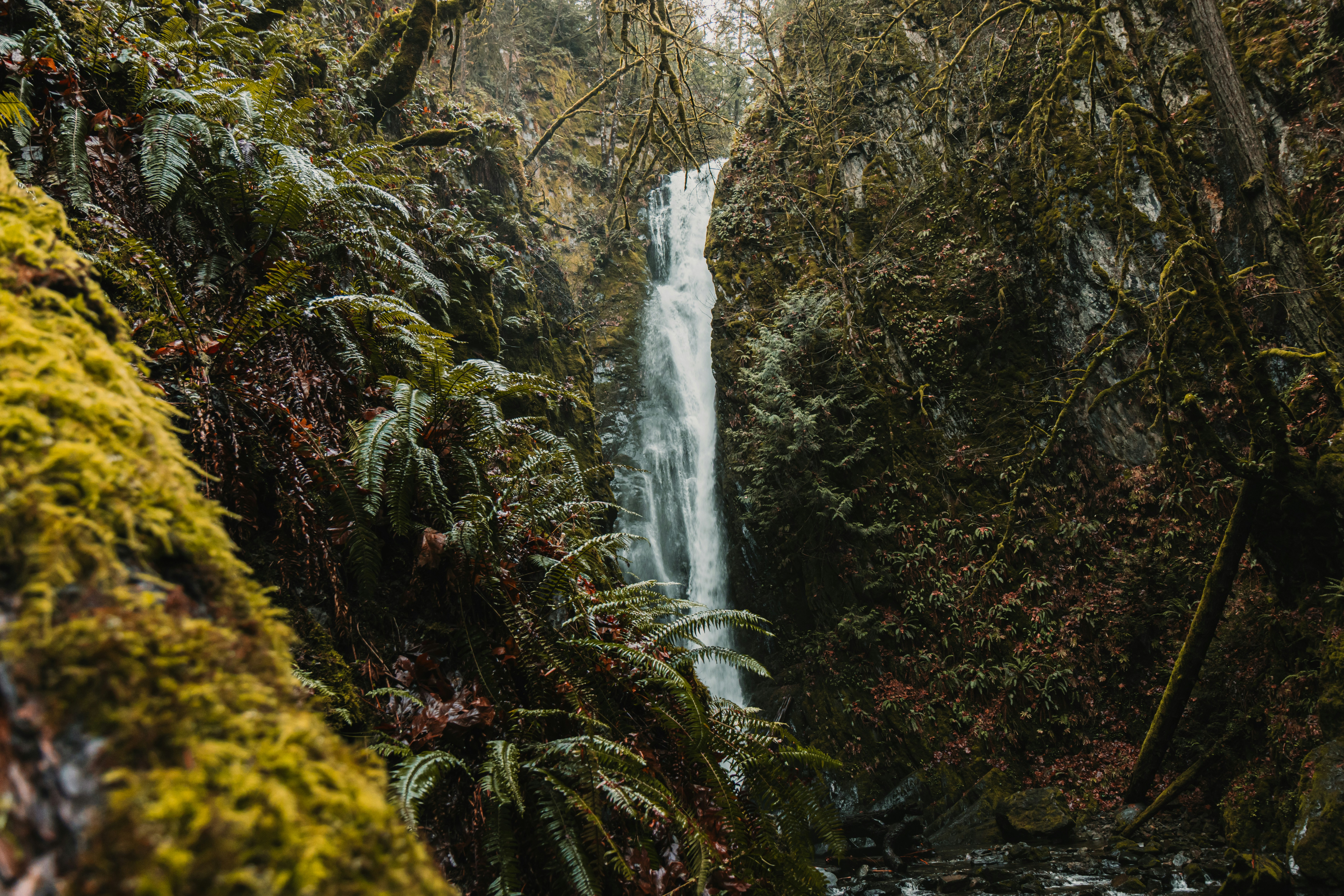 Photo by dariendesigns