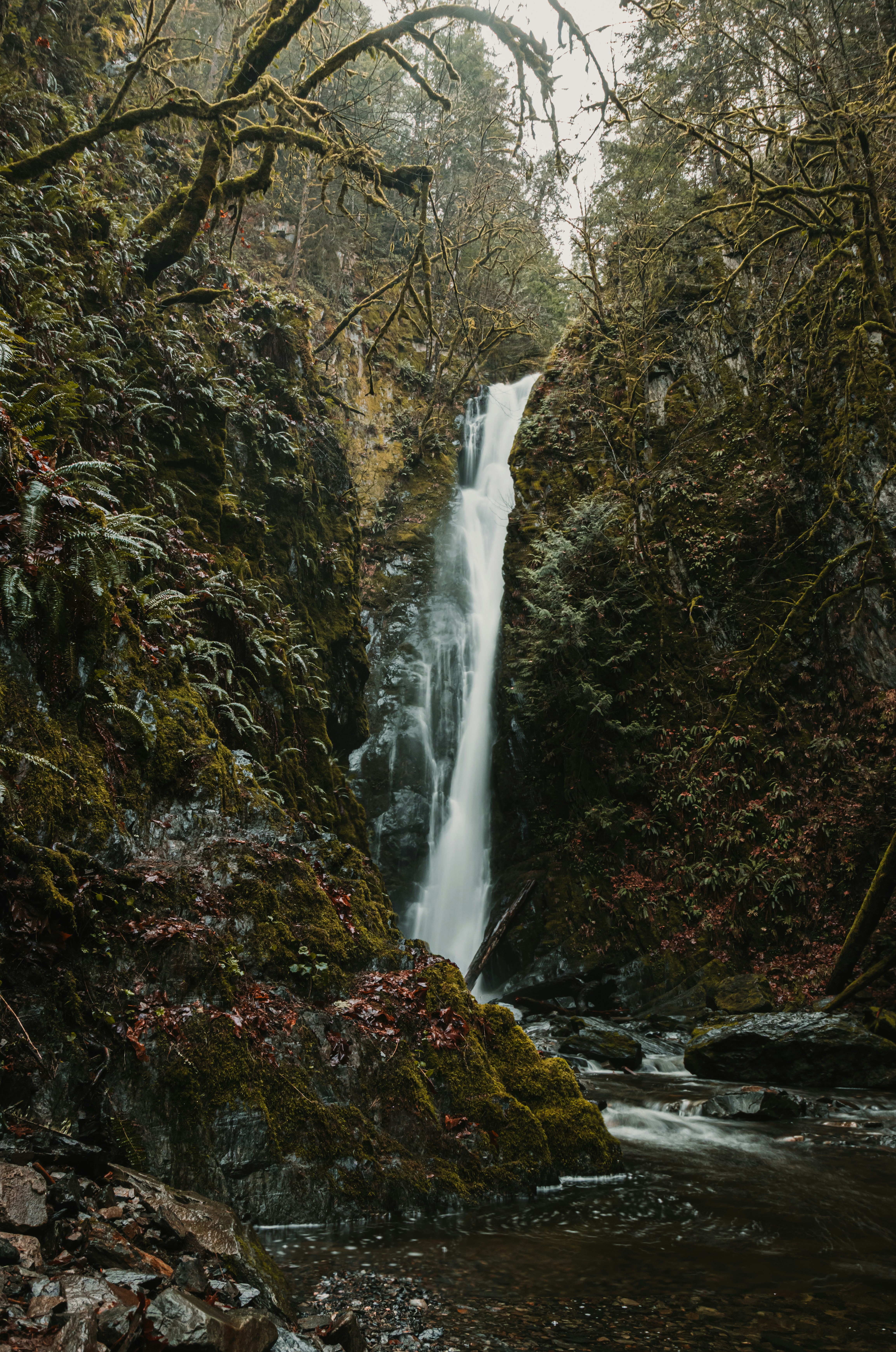 Photo by dariendesigns