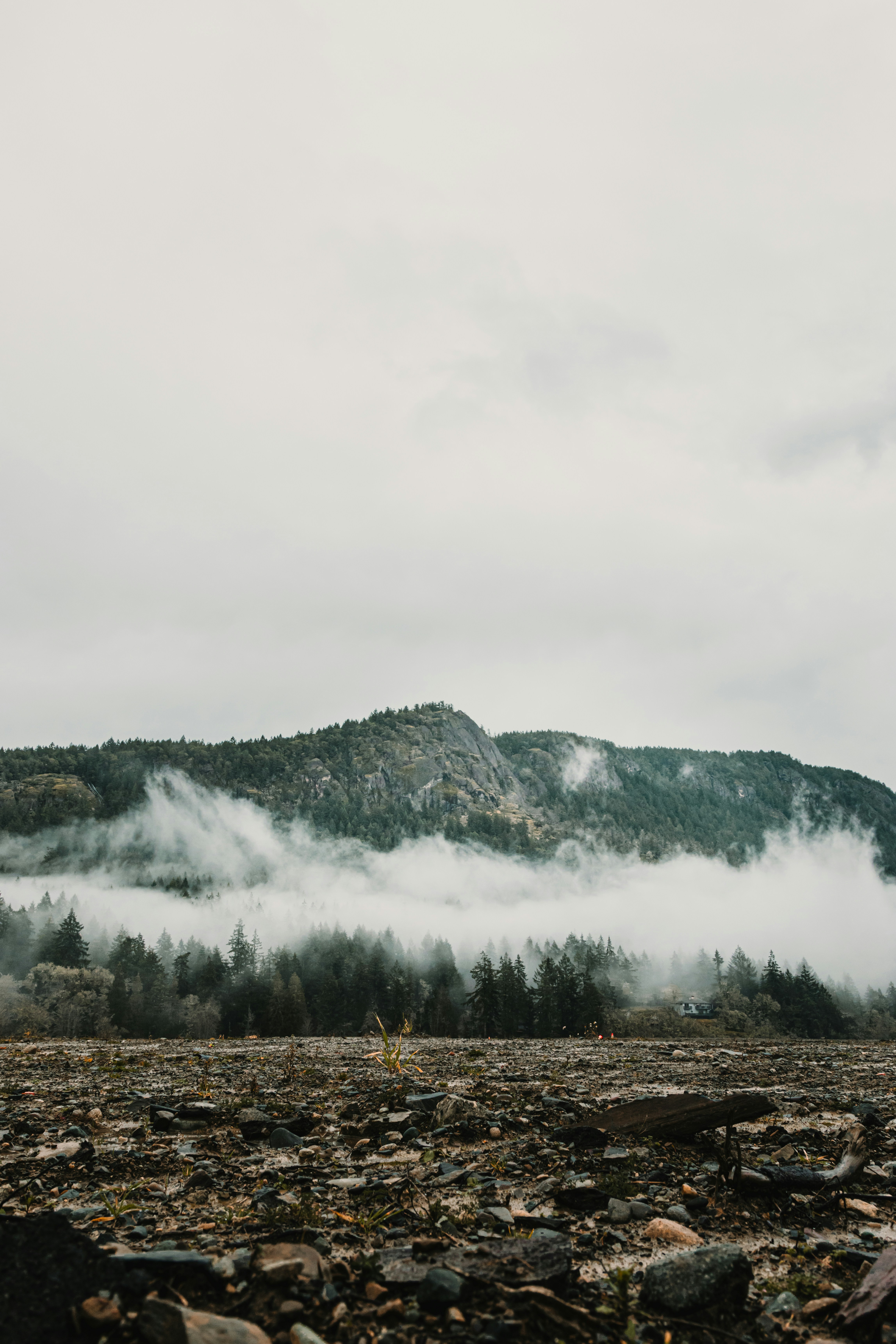 Photo by dariendesigns