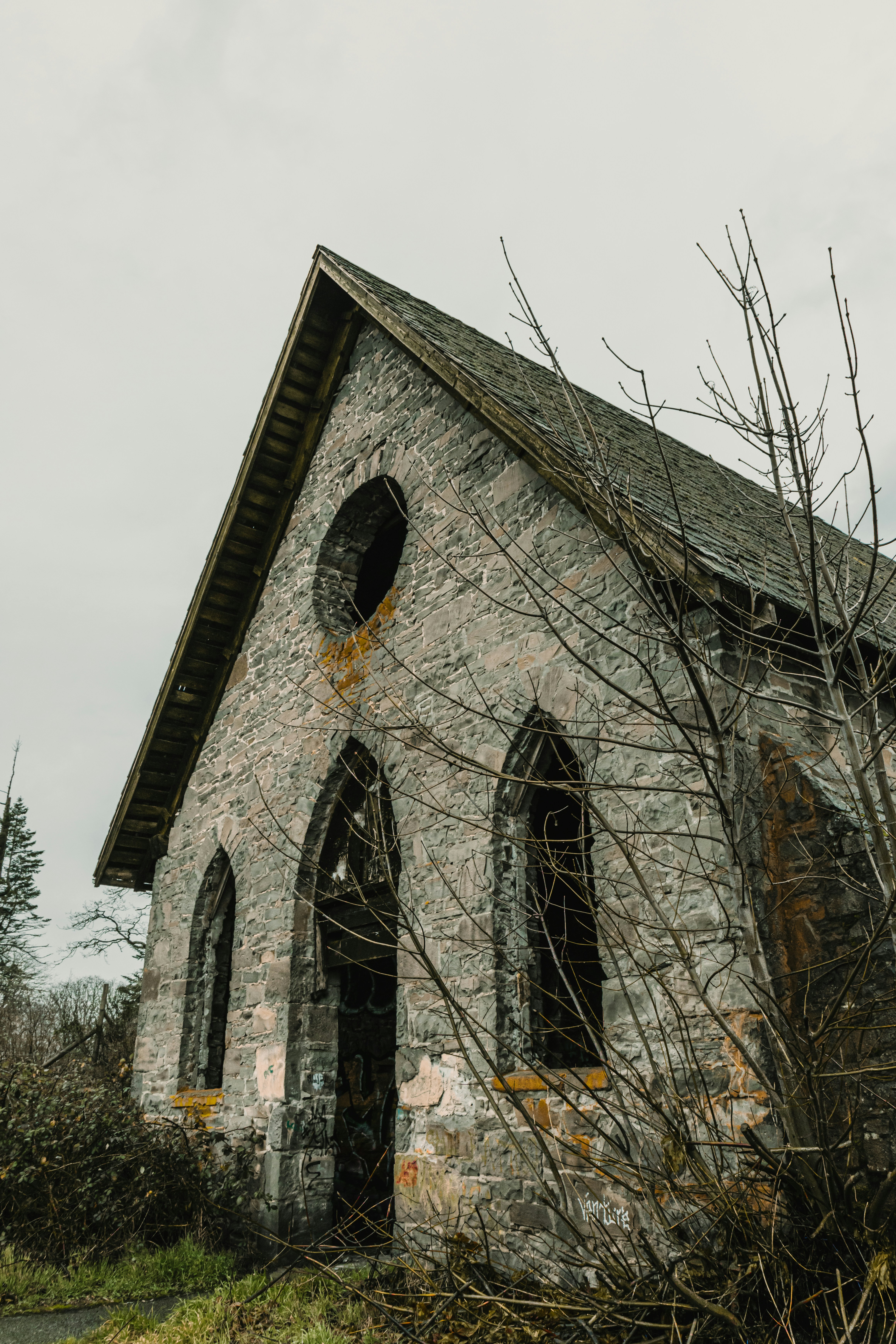 Photo by dariendesigns