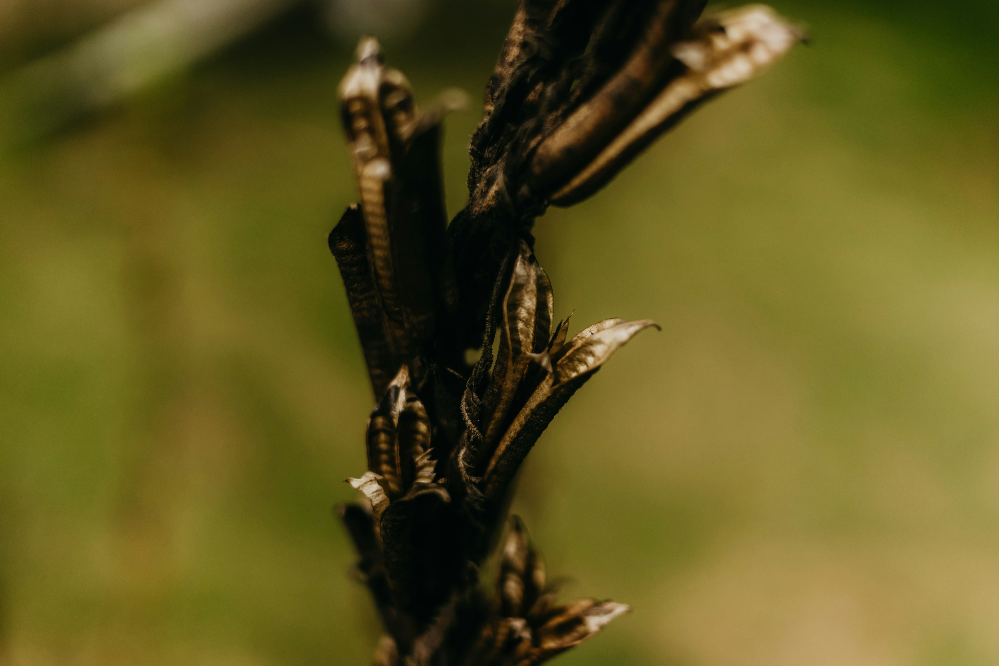 Photo by kawerodriguess