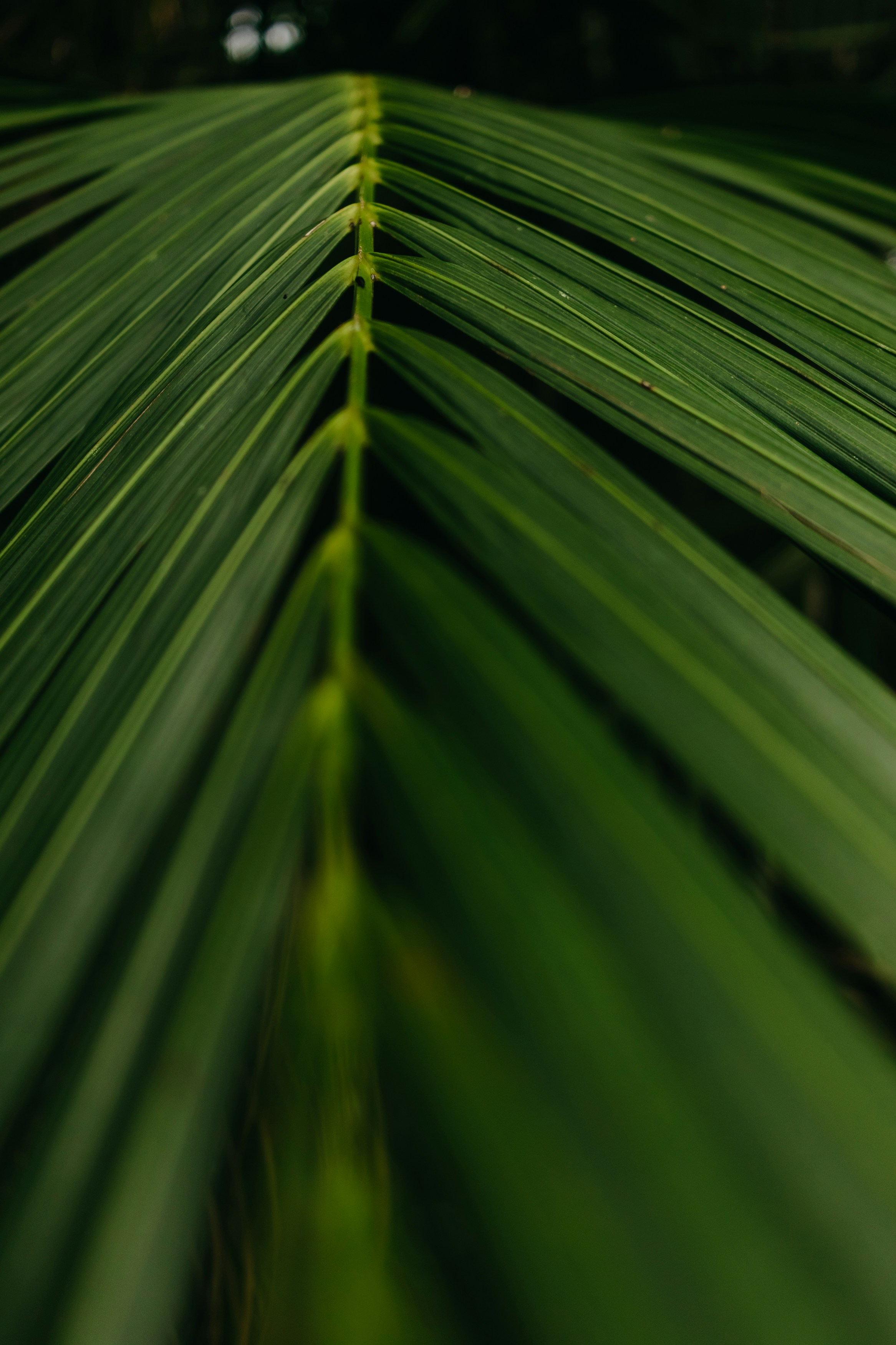 Photo by kawerodriguess