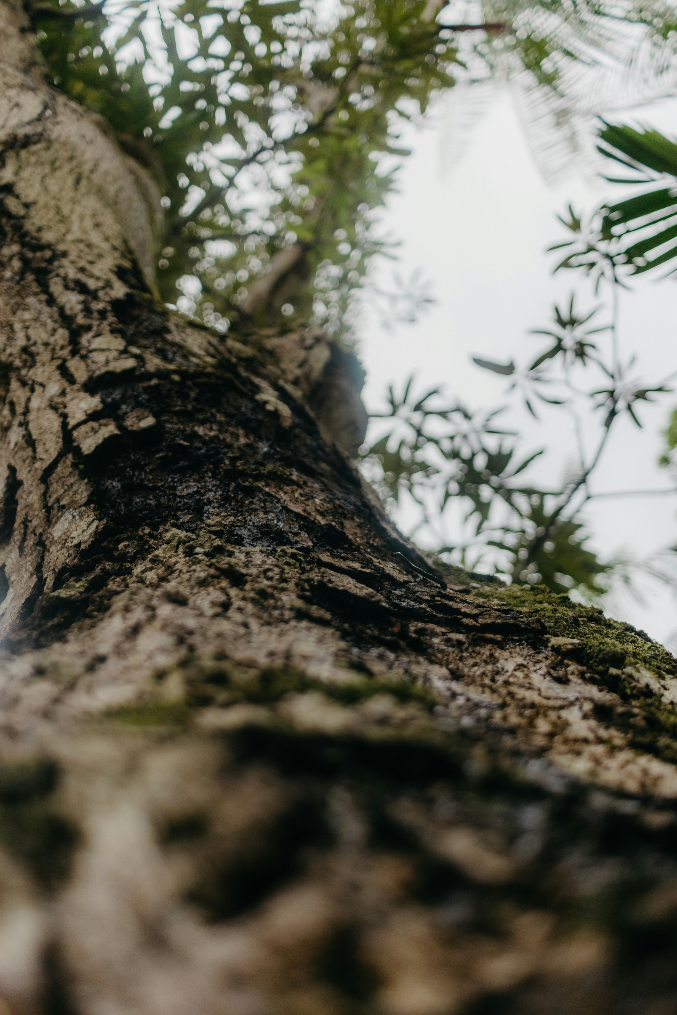 Photo by kawerodriguess