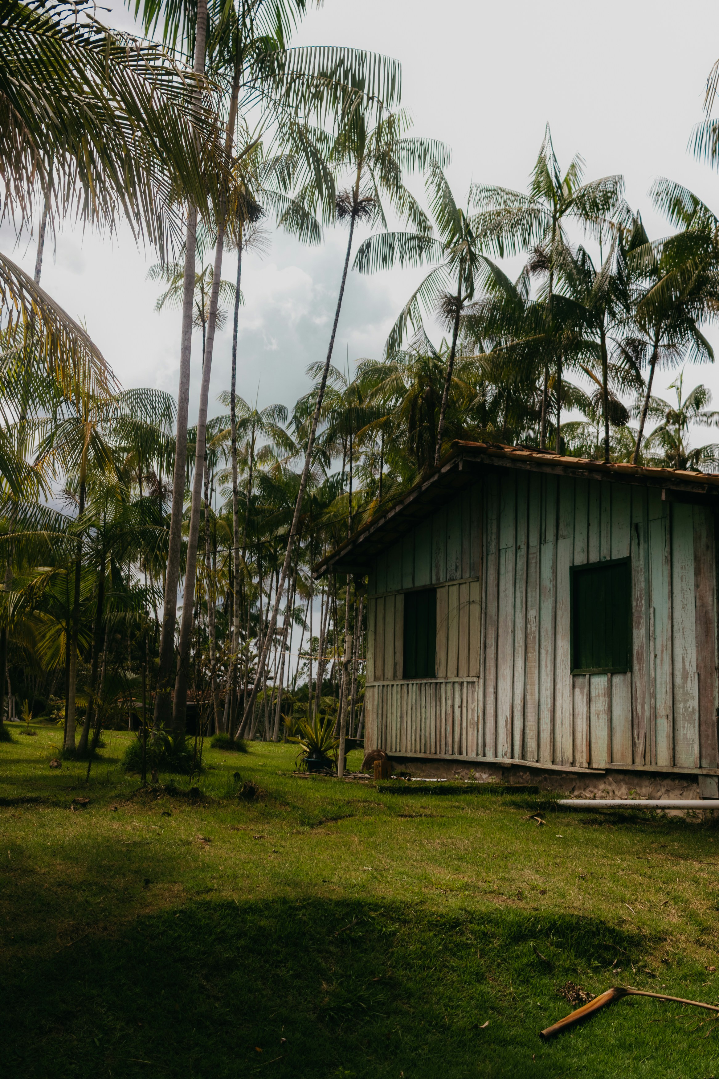 Photo by kawerodriguess