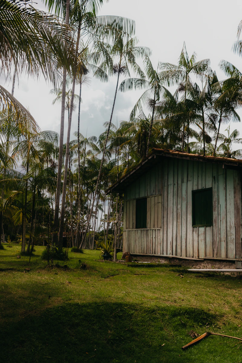 Cabaña de madera entre árboles