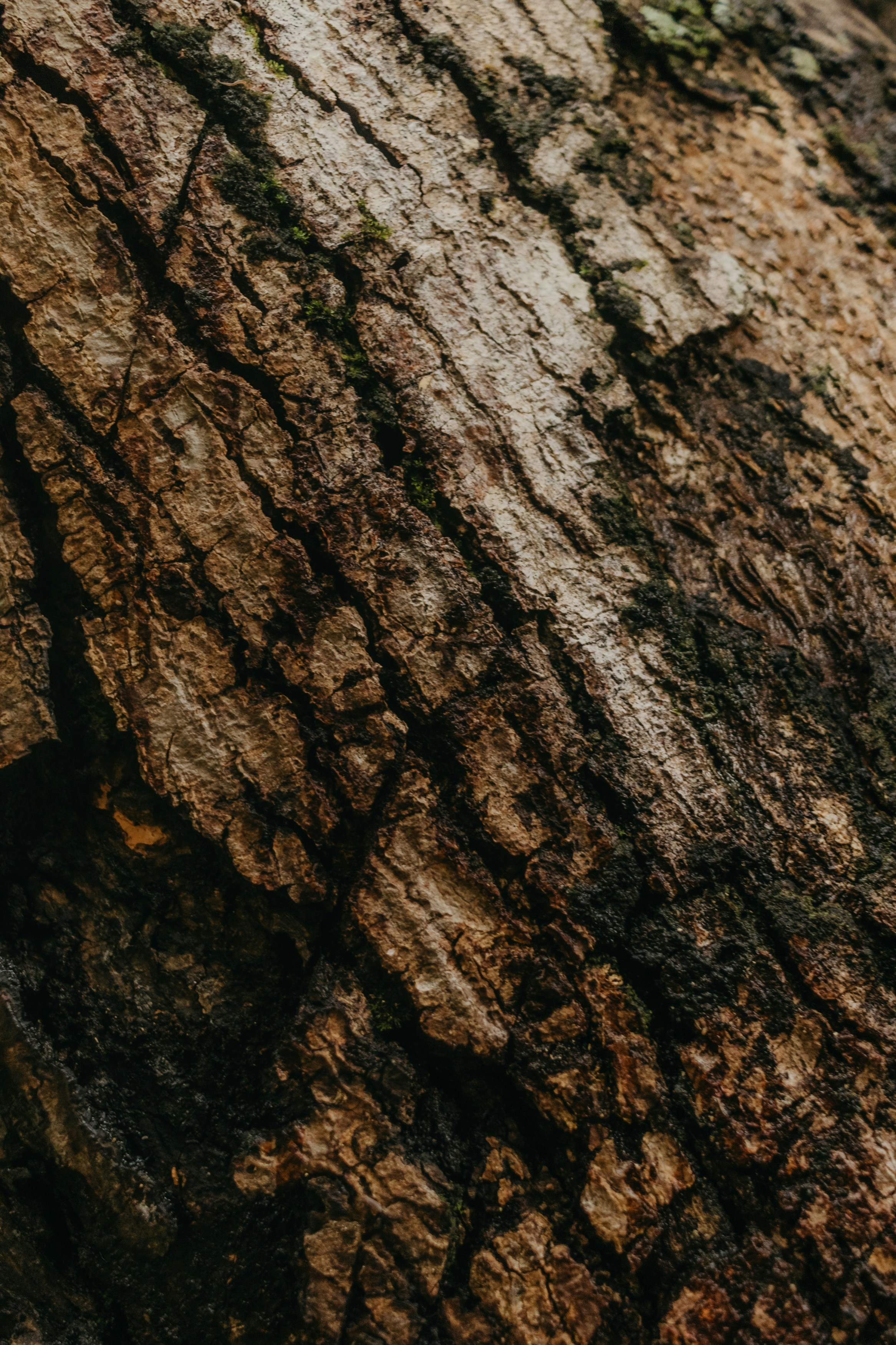 Photo by kawerodriguess