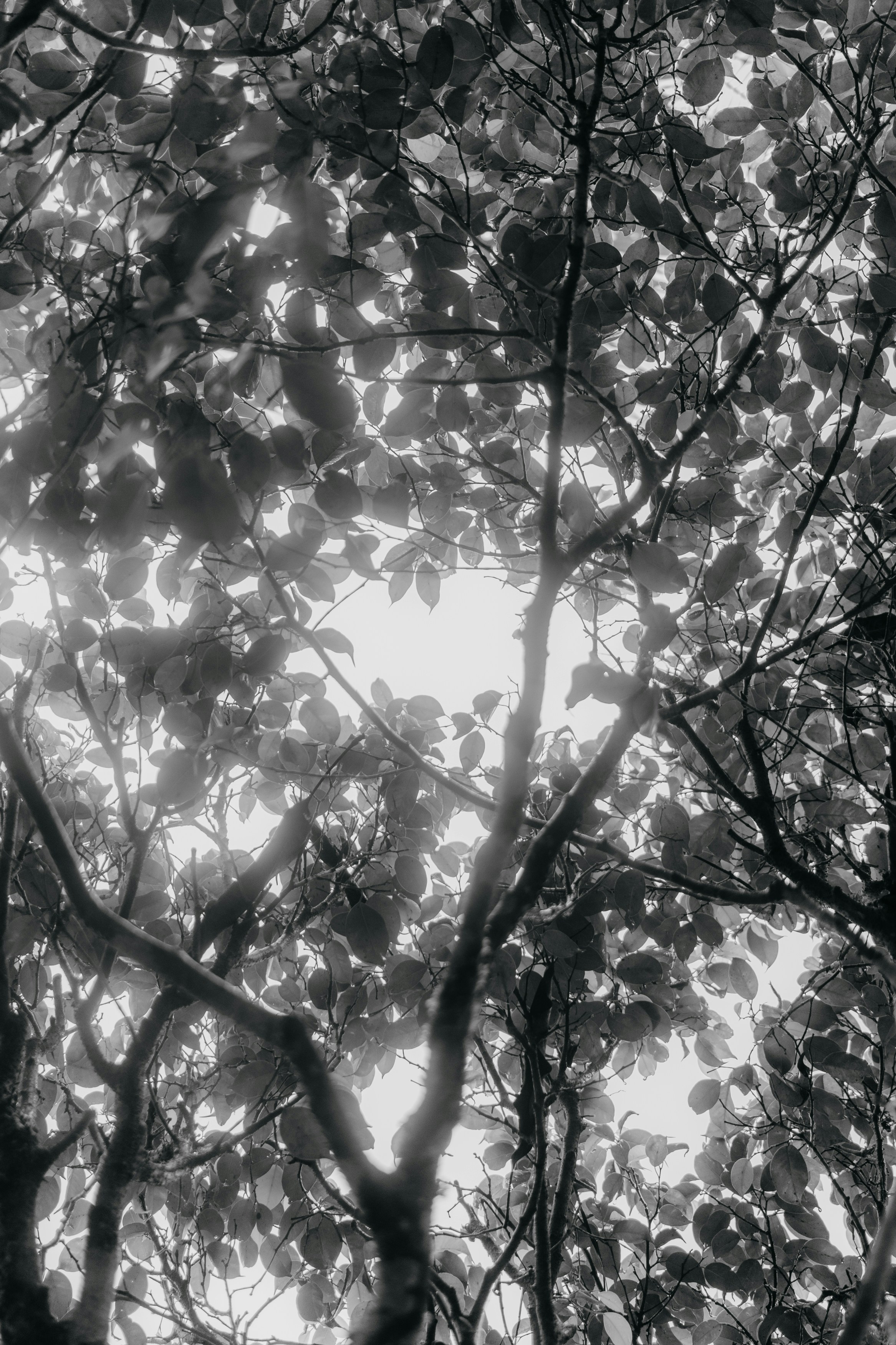 Photo by kawerodriguess