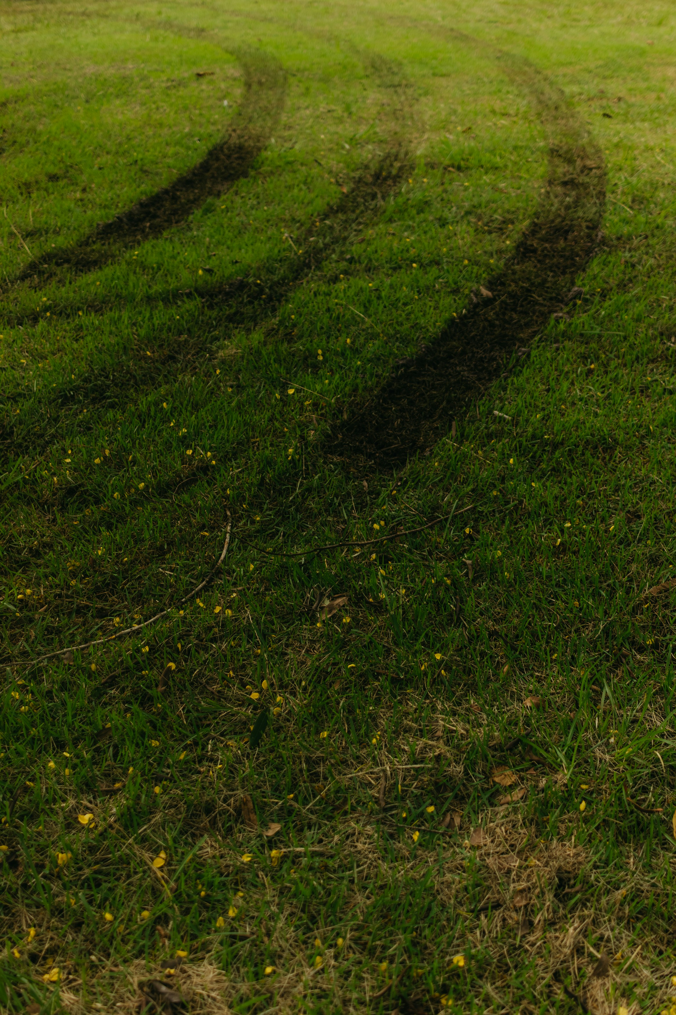 Photo by kawerodriguess