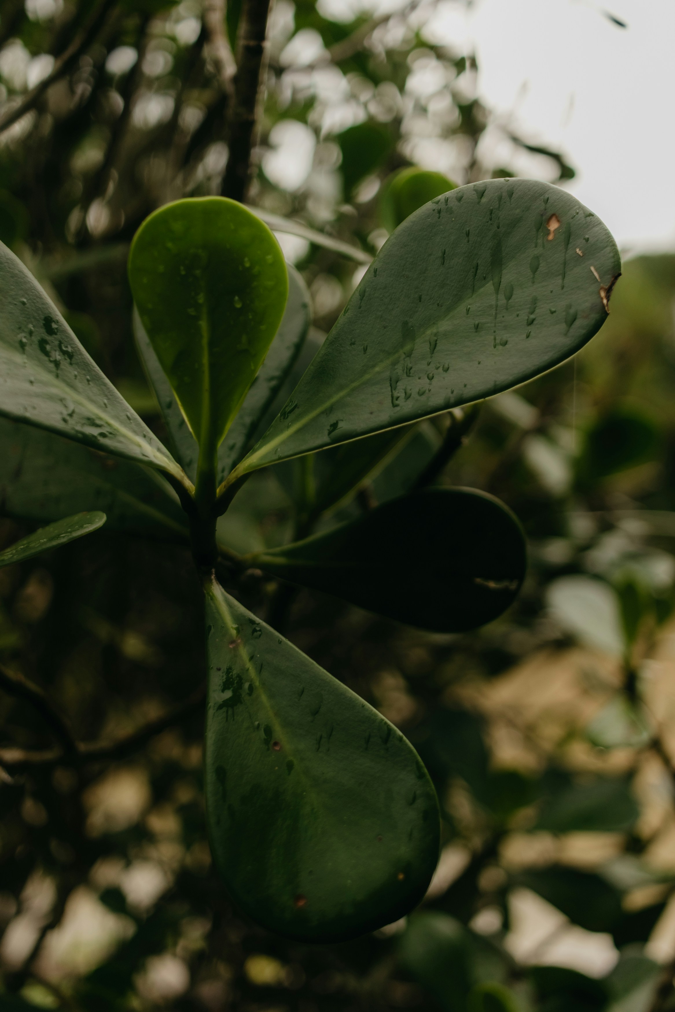 Photo by kawerodriguess