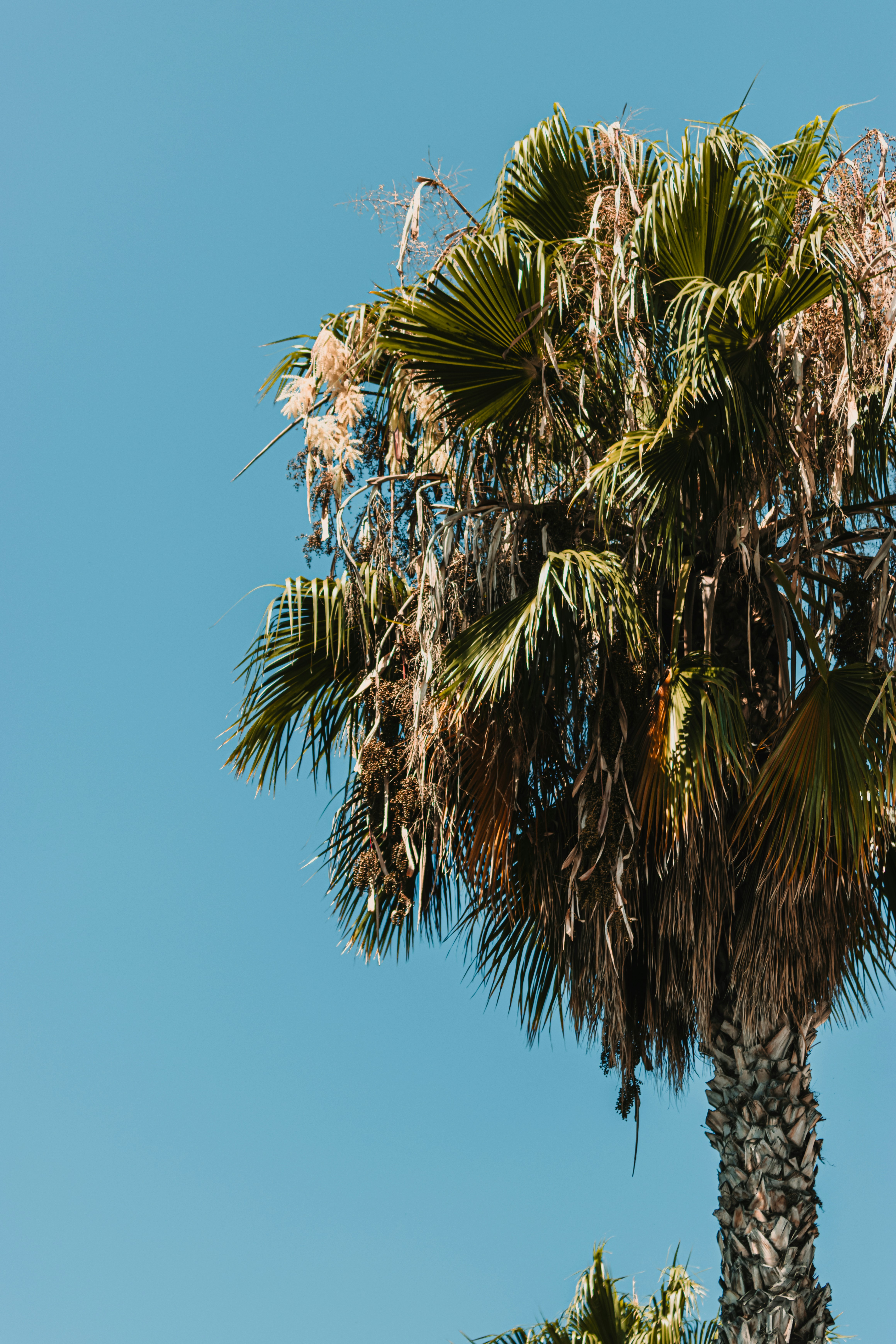 Photo by dariendesigns