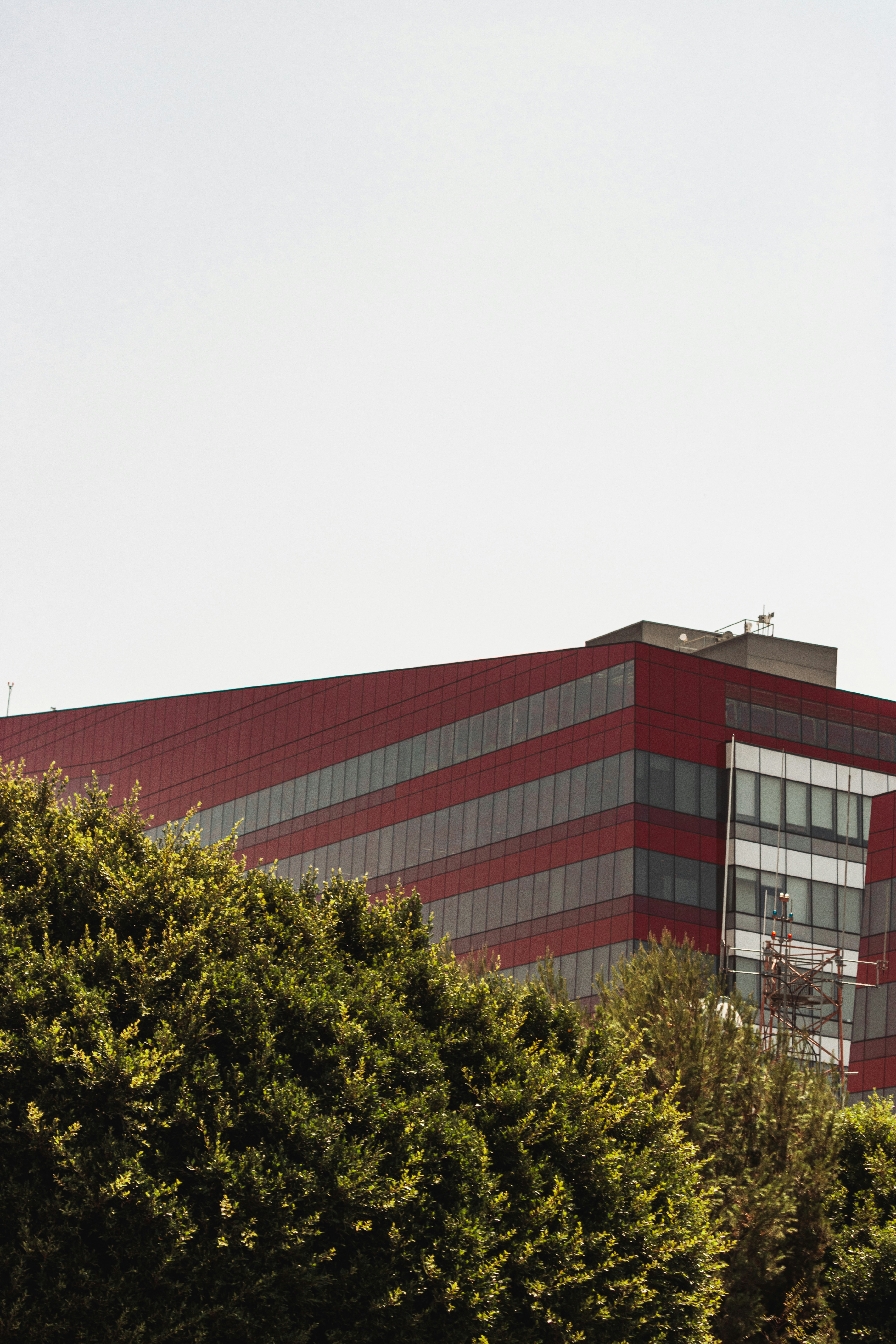 Photo by dariendesigns