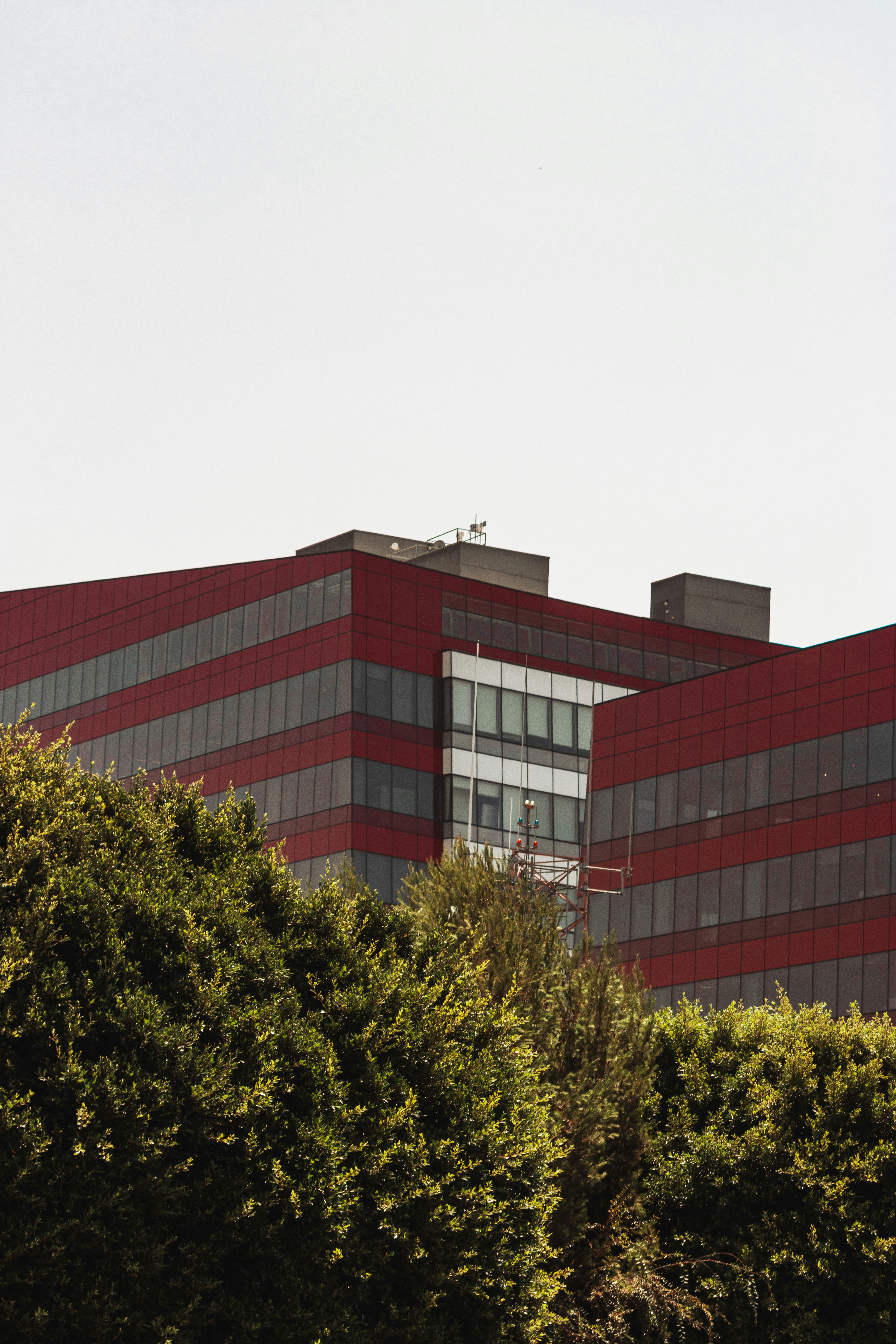 Photo by dariendesigns