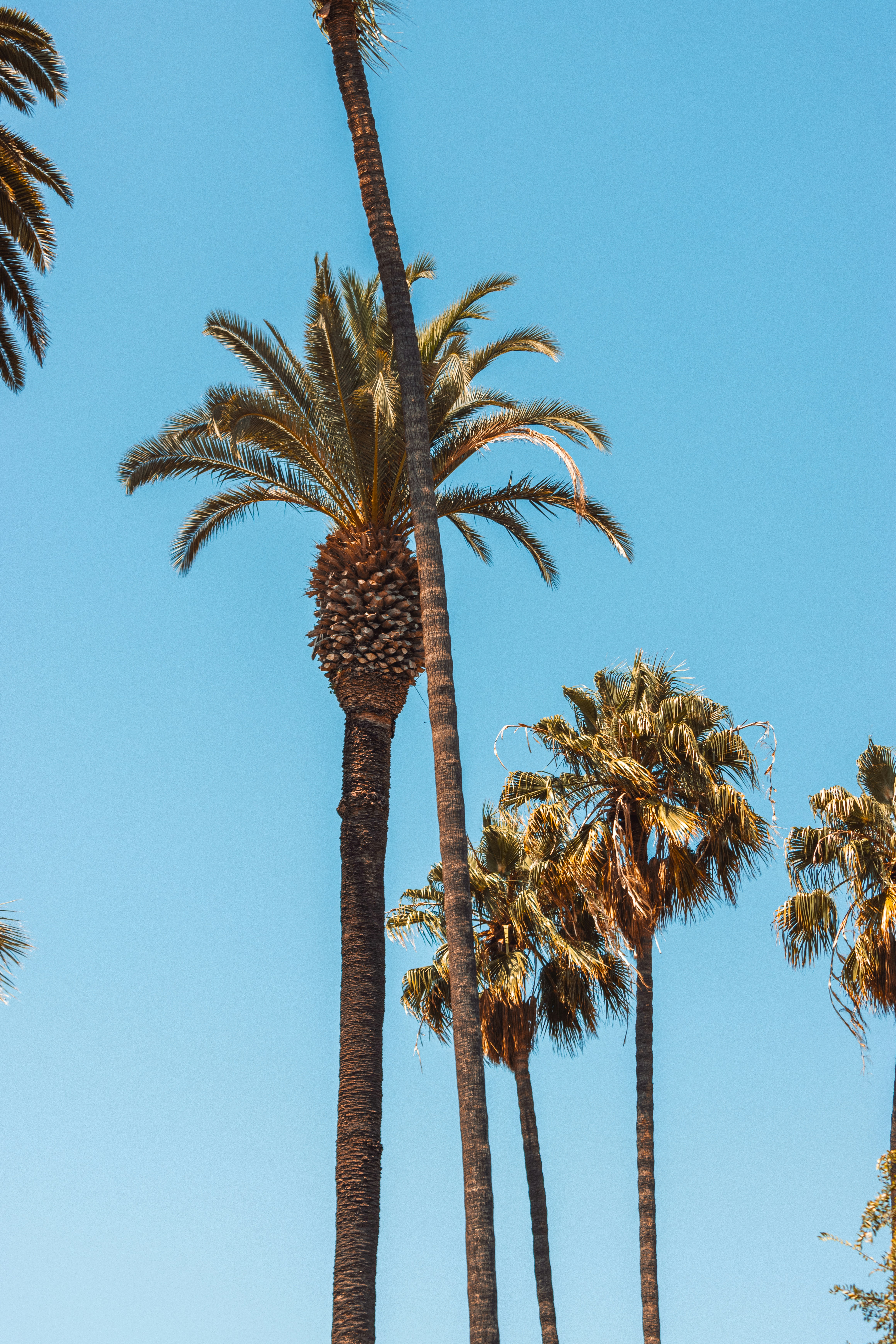 Photo by dariendesigns