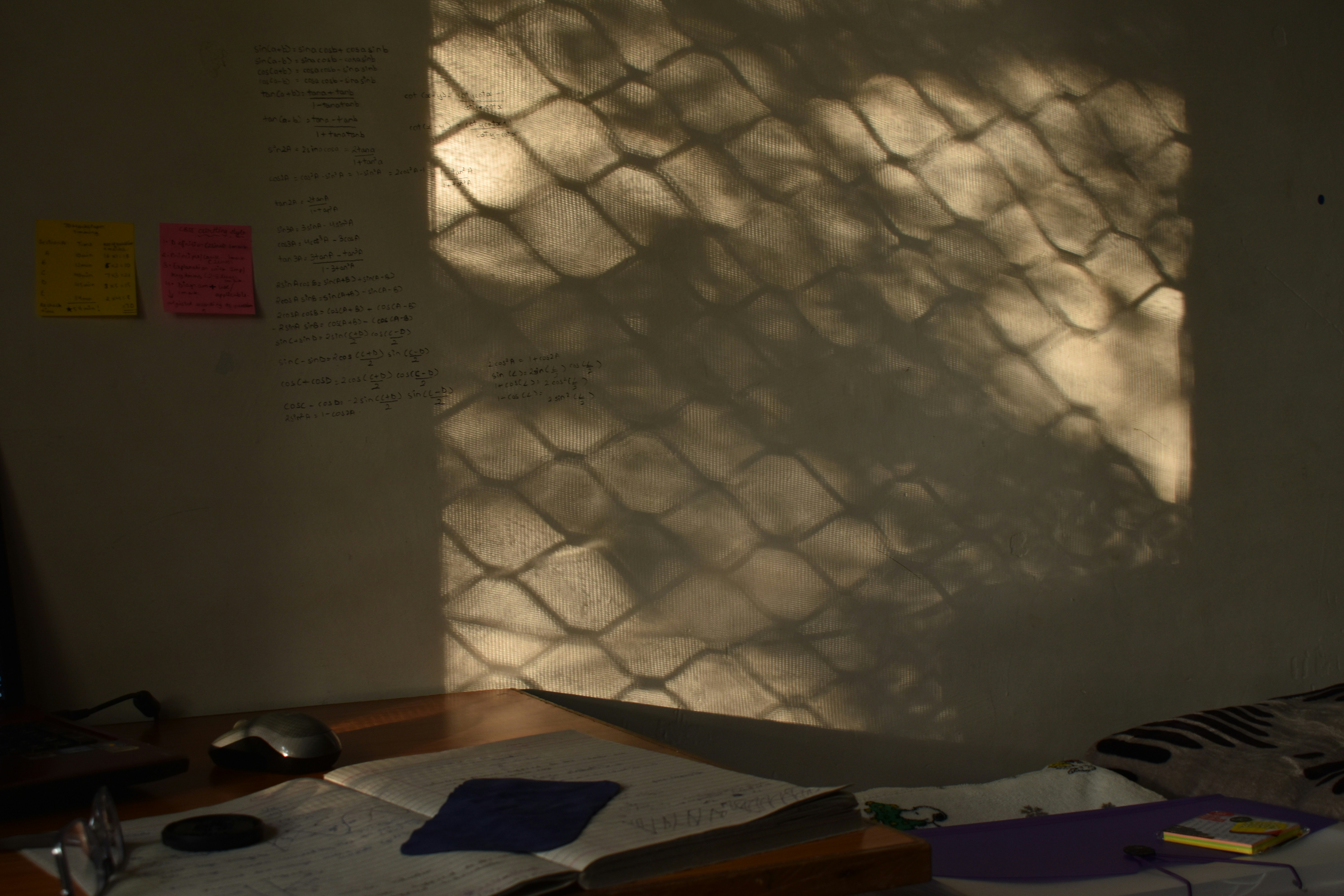 Skills-first Hiring 2030 Outlook