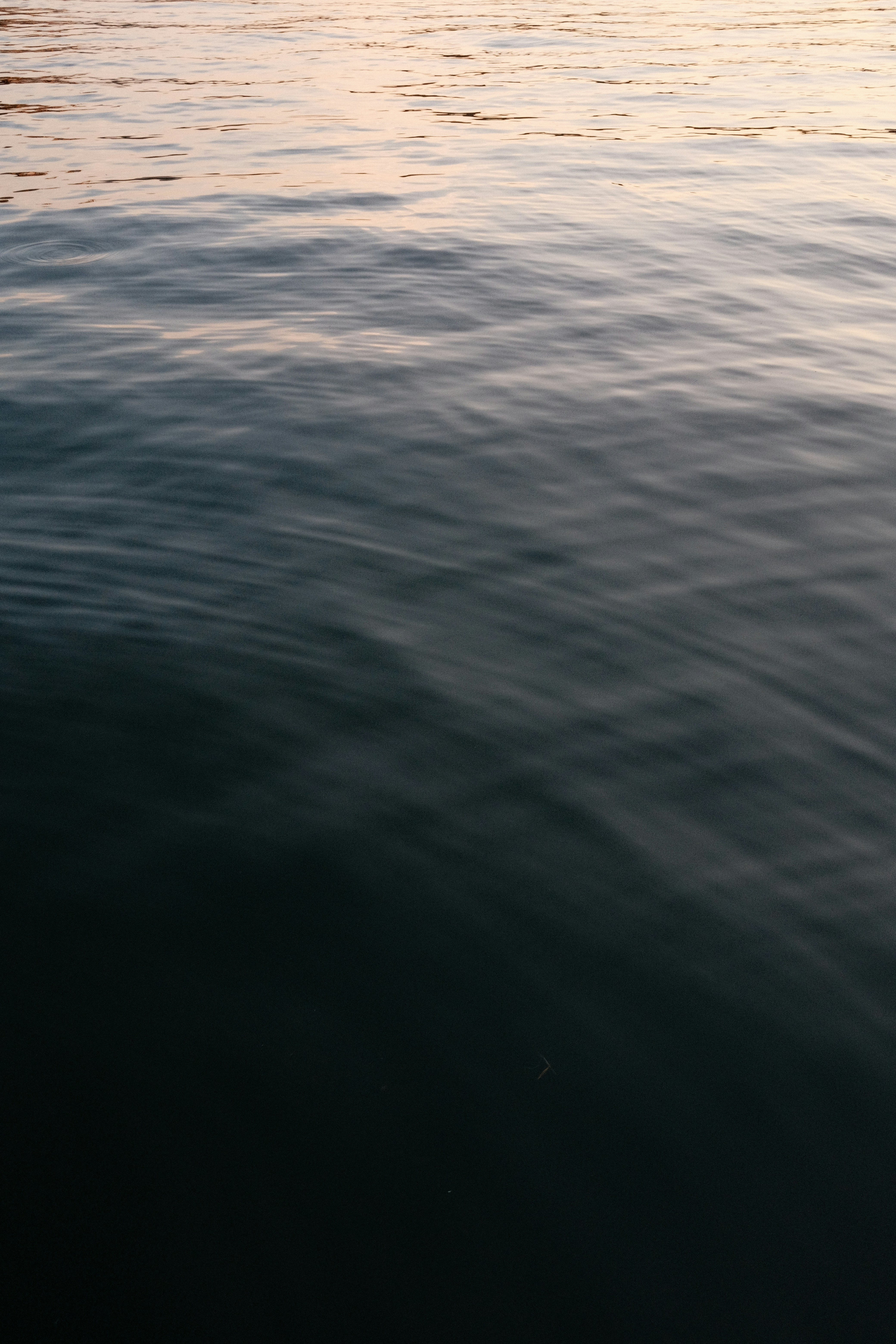 Photo by theaaronsimpson