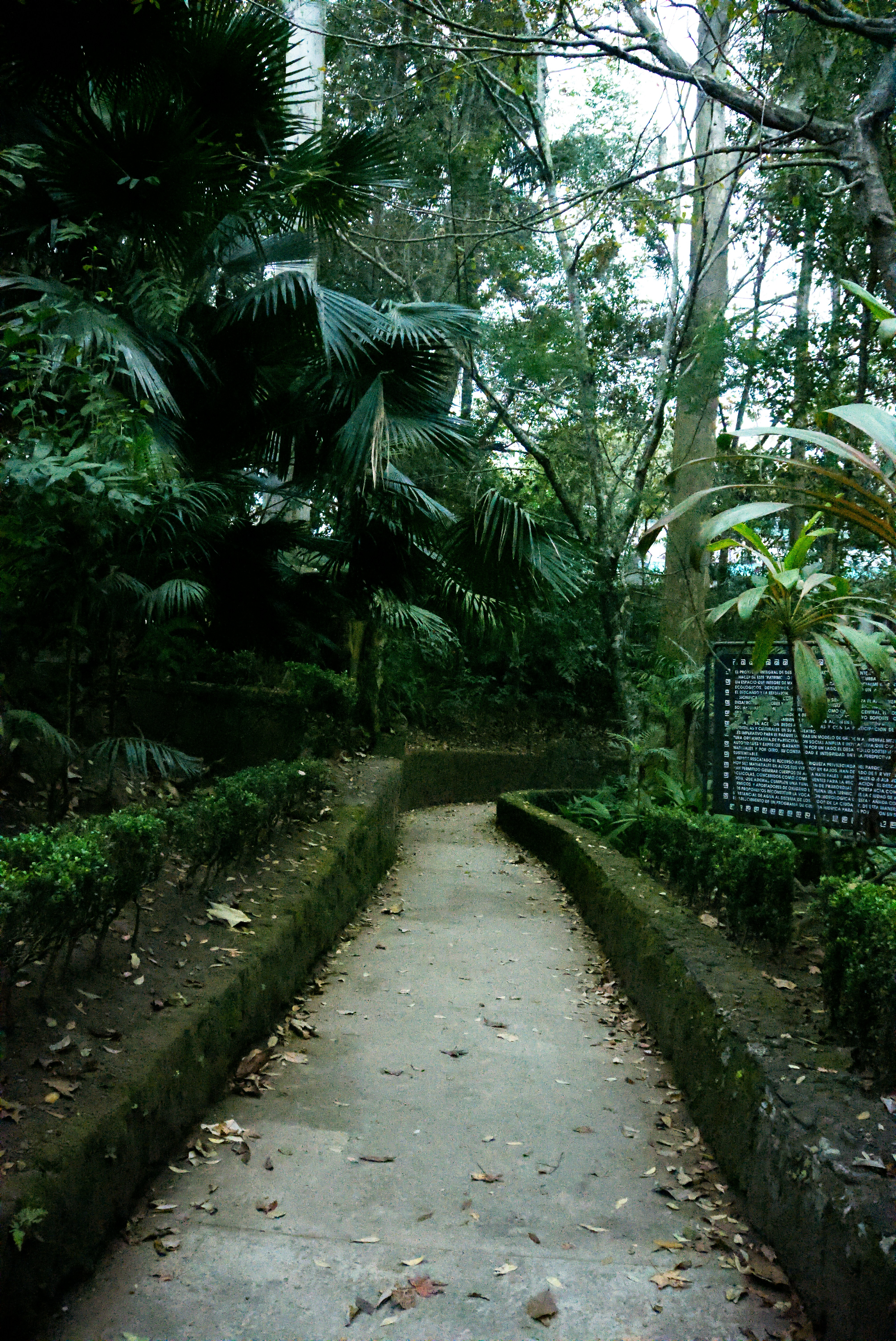 Photo by oscarespiritu