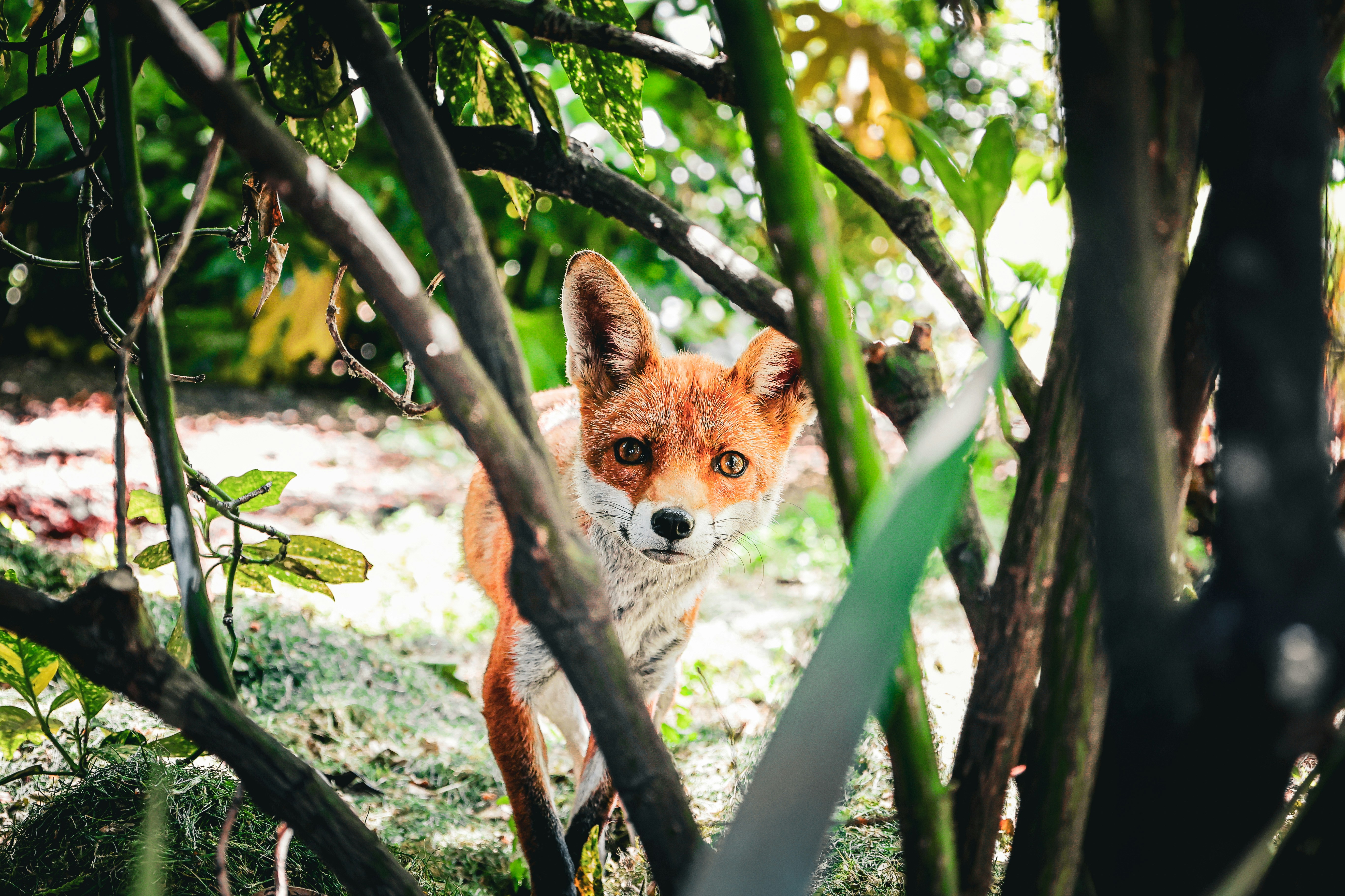 Photo by jcreamer898