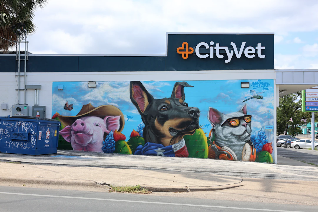 Veterinarian dog clinic