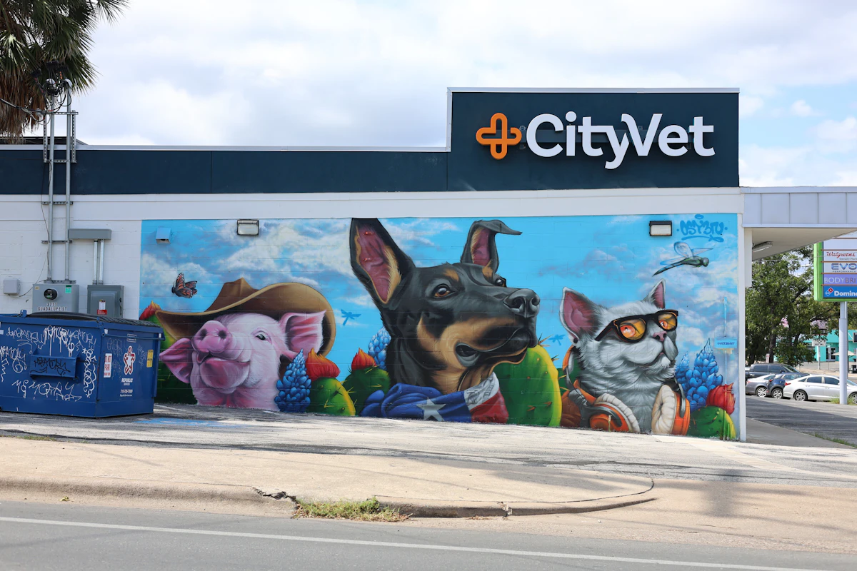 PetDesk vs Vetstoria for Vet Comms [Compared]
