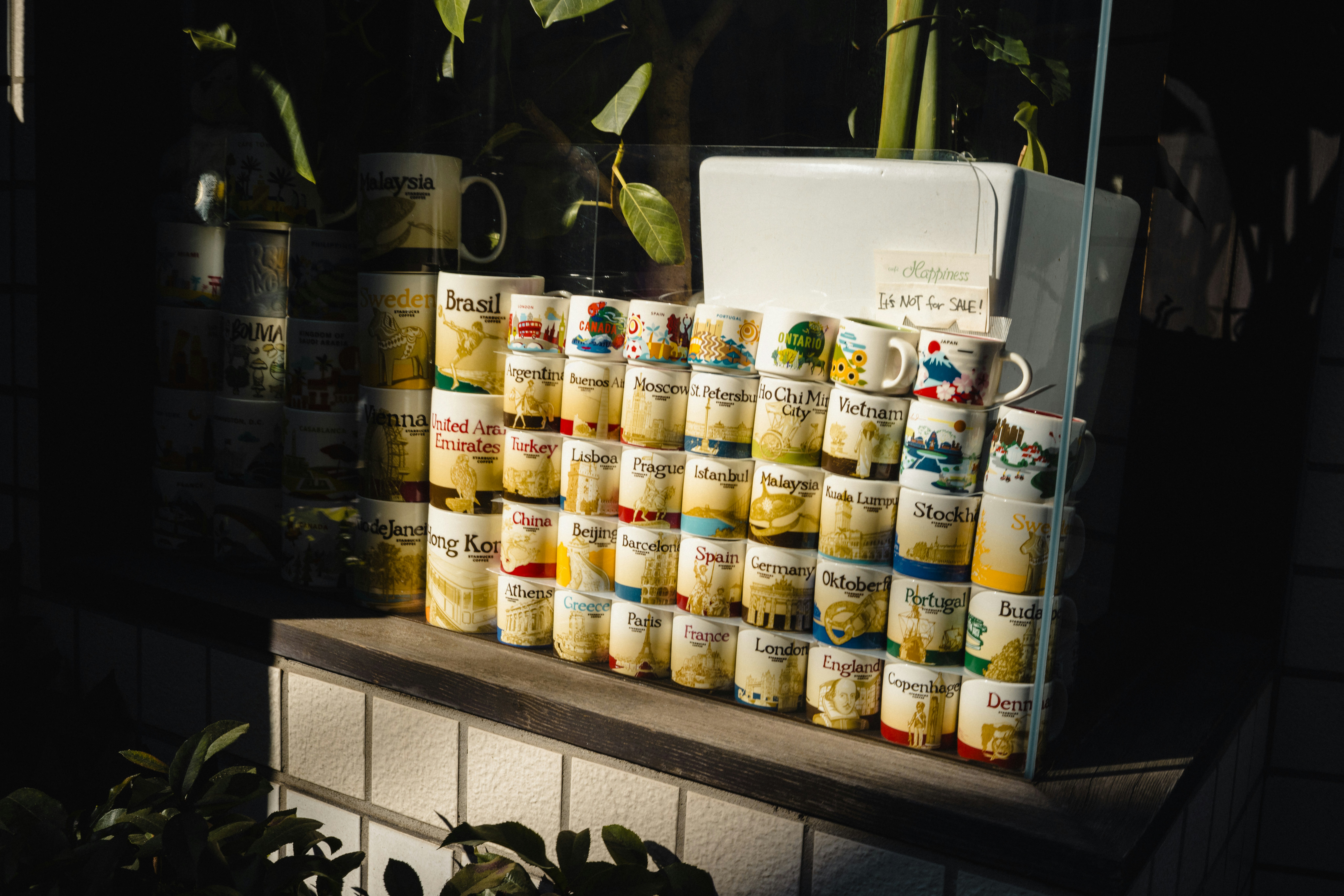 Sammlung von Tassen, die auf einem Regal ausgestellt sind