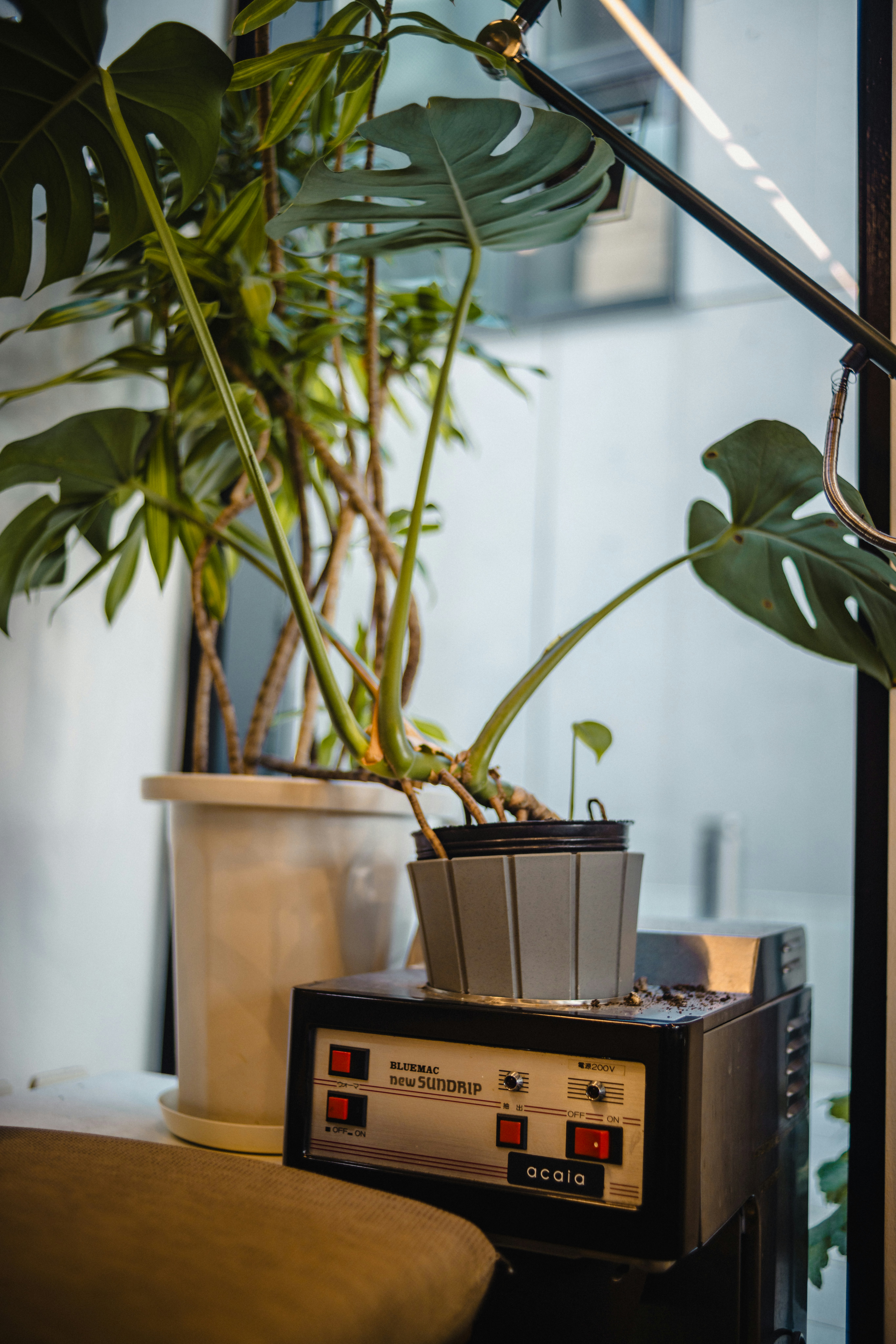 A potted monstera plant sits next to electronic equipment.